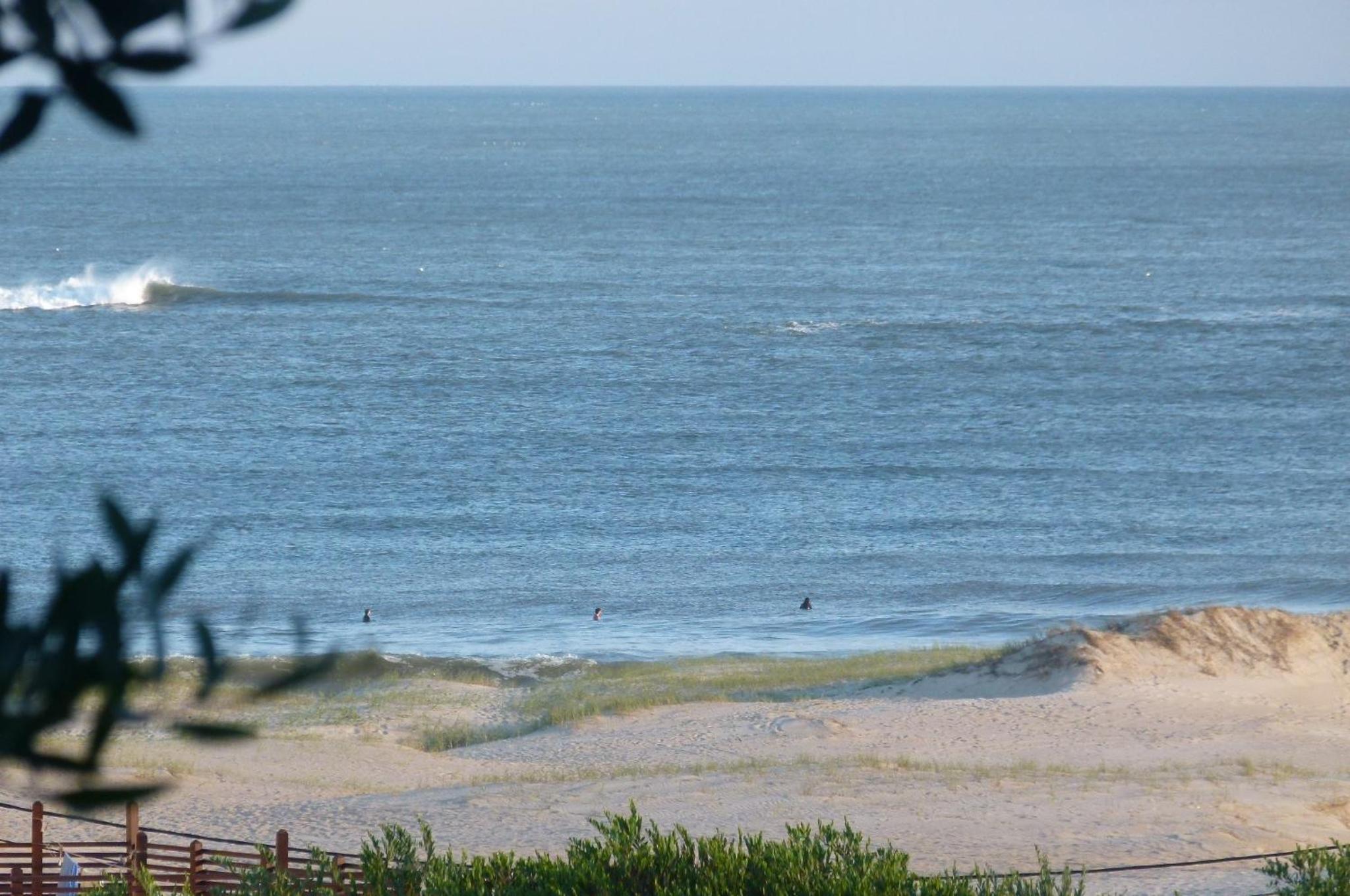 Photo 40