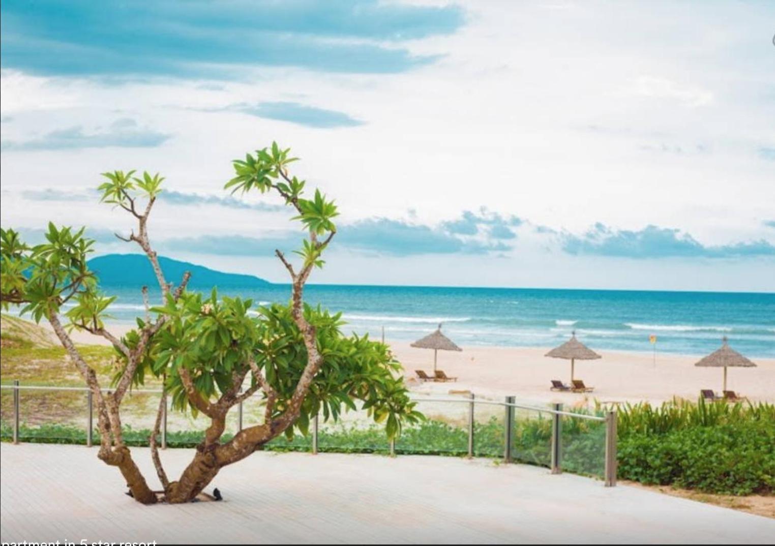 Ocean Apartment view 5