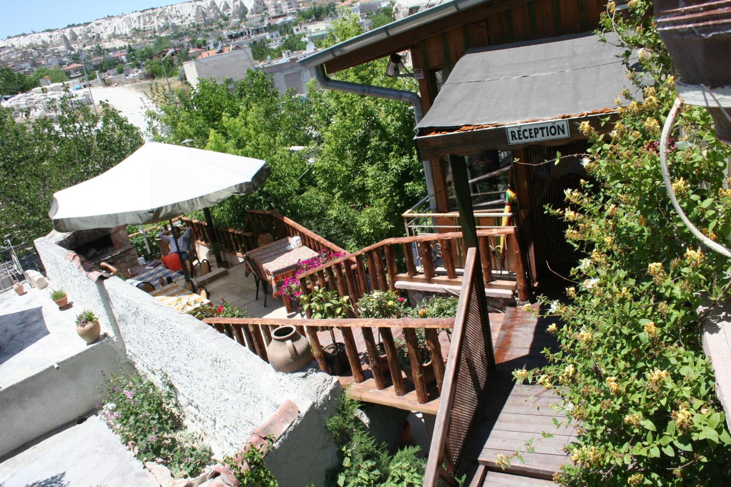 Photo 19