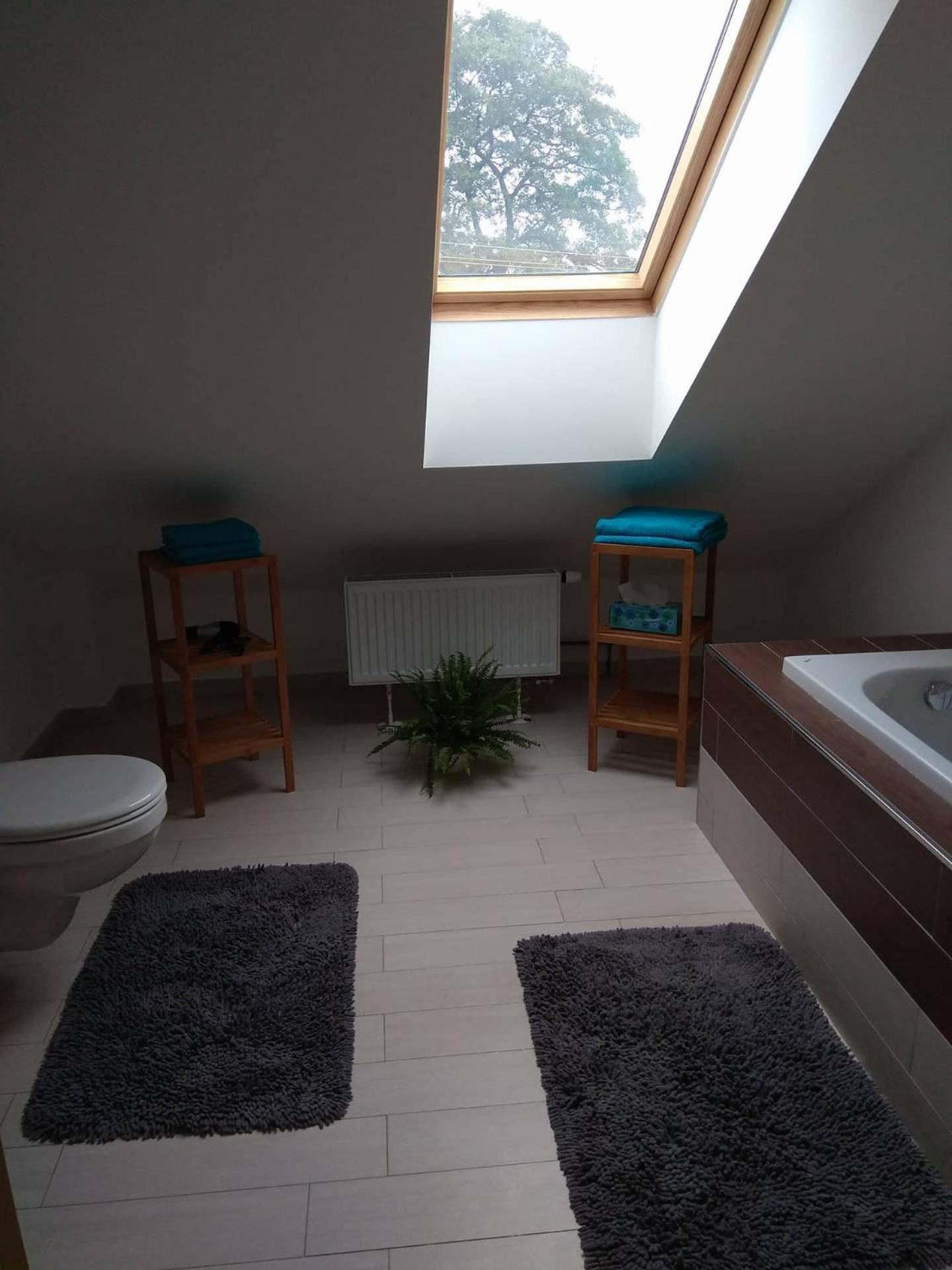 apartmány pod lesem view 3