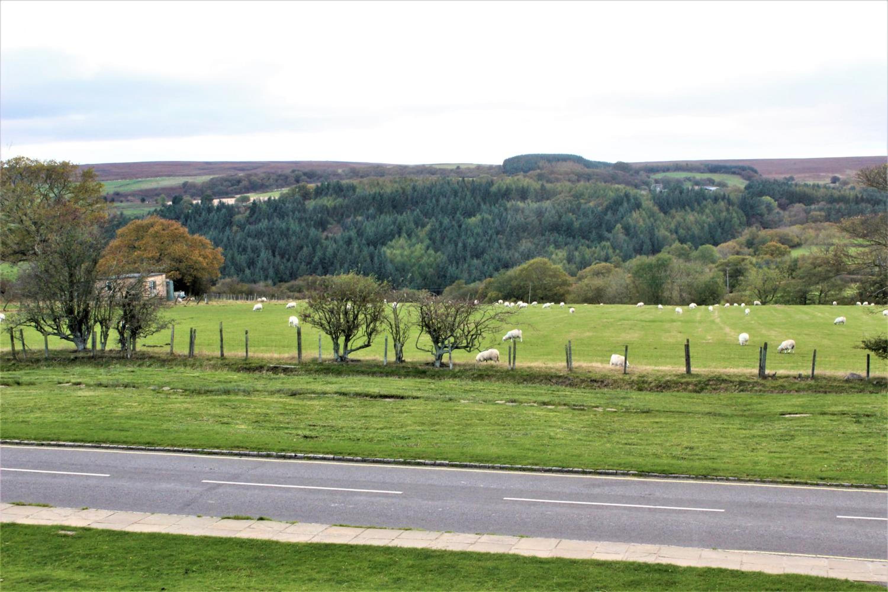 Fairhaven Country Guest House view 3