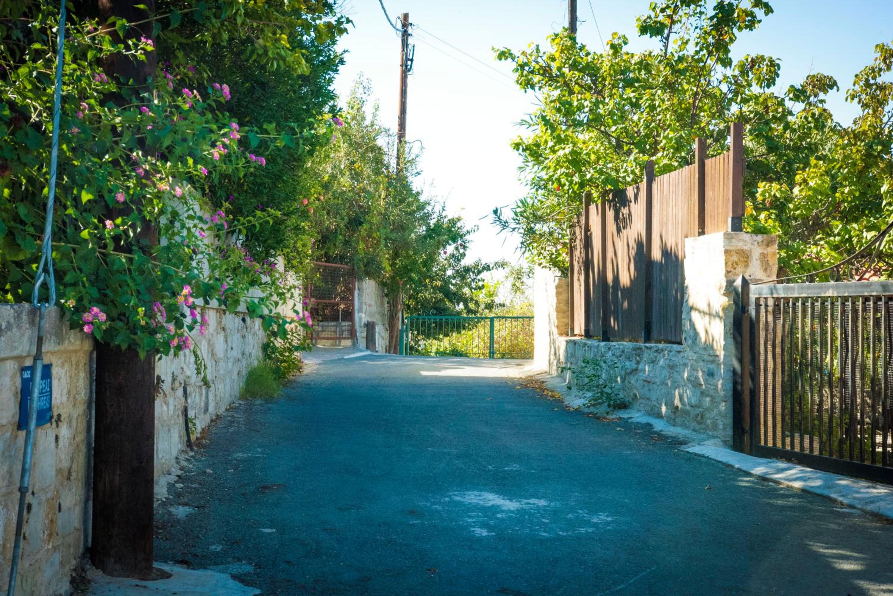 Kaizer Agrotourism - Property Image 12