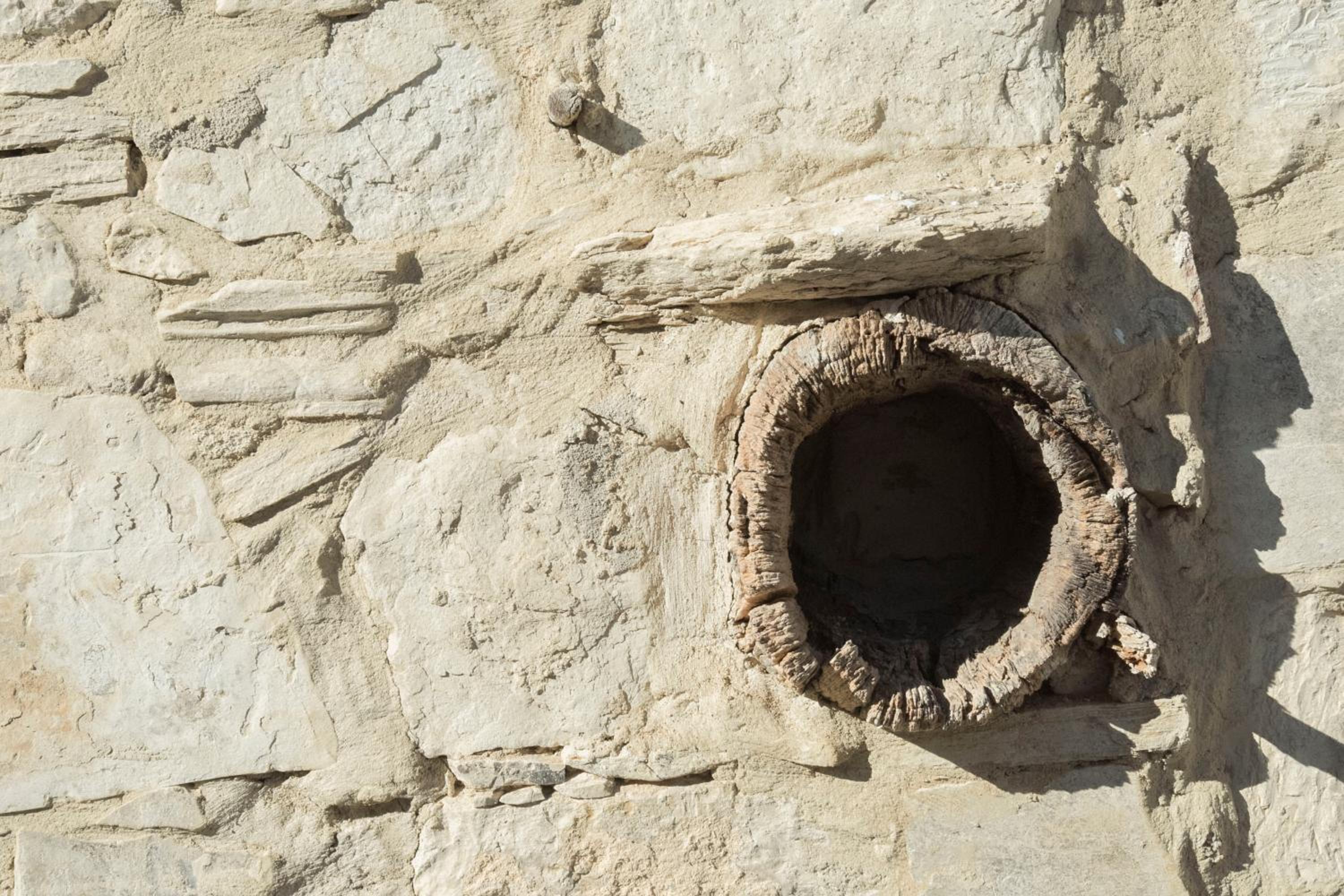 Kaizer Agrotourism - Property Image 11