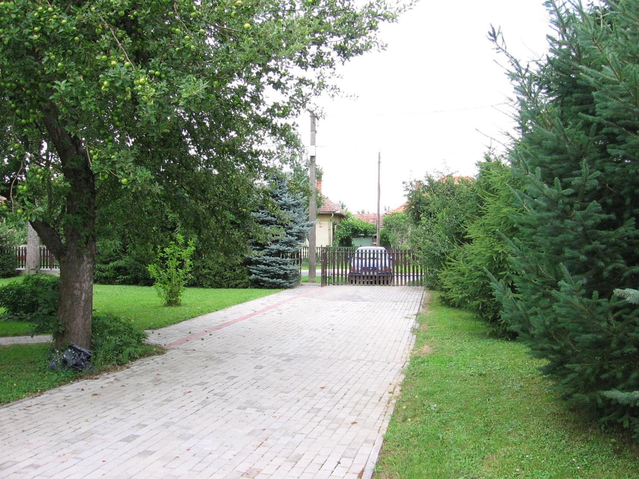 Photo 35