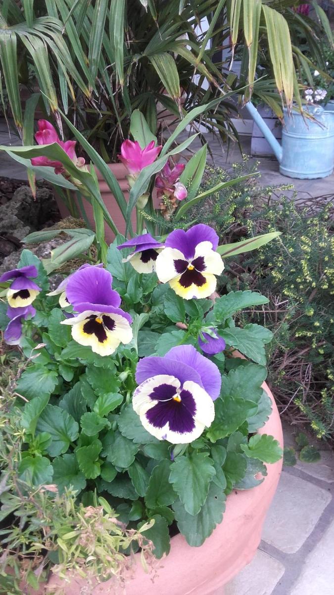 Photo 27