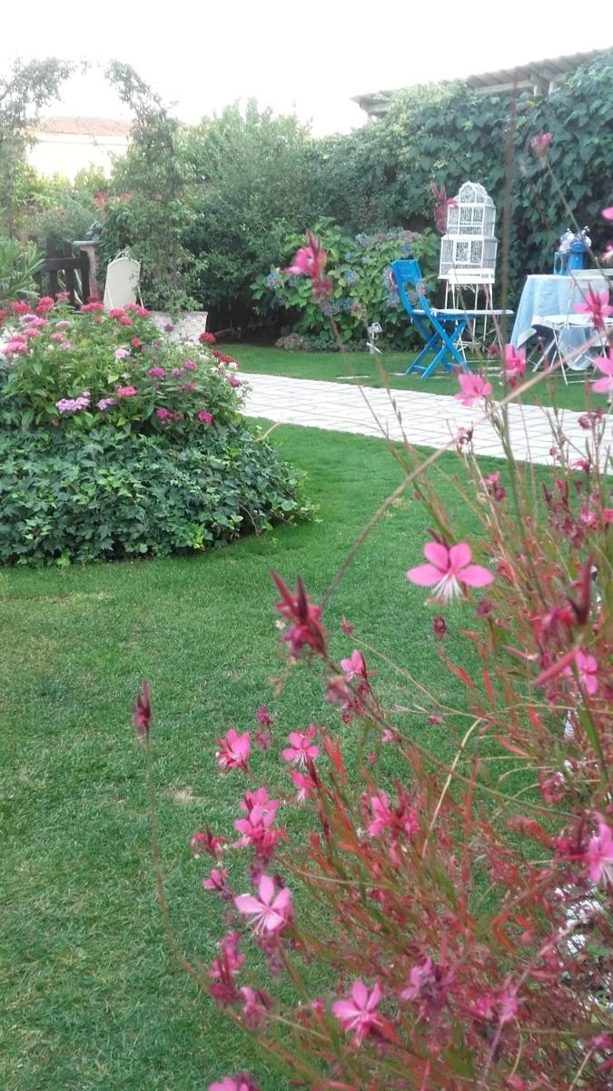 Photo 33