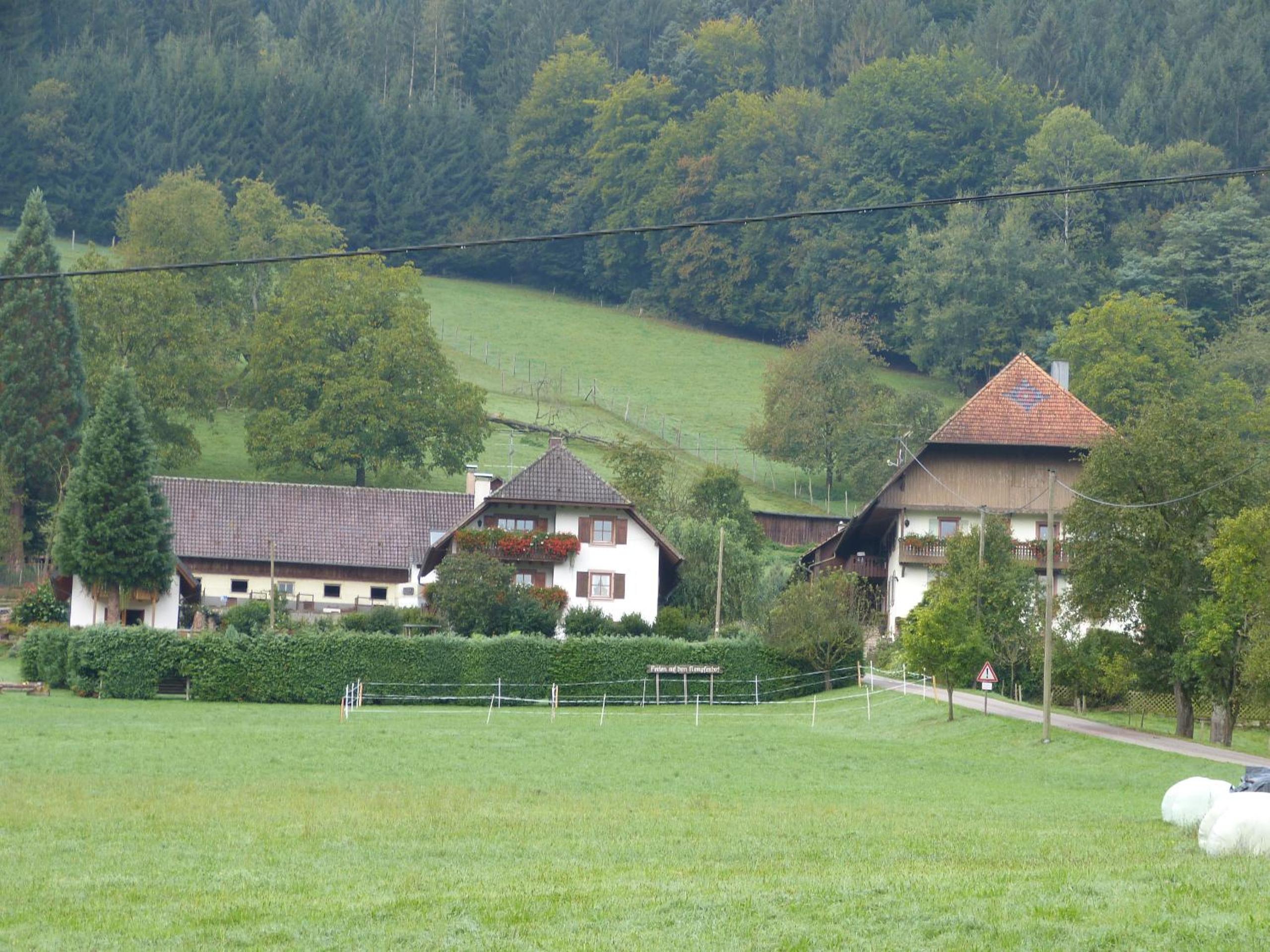 Photo 42