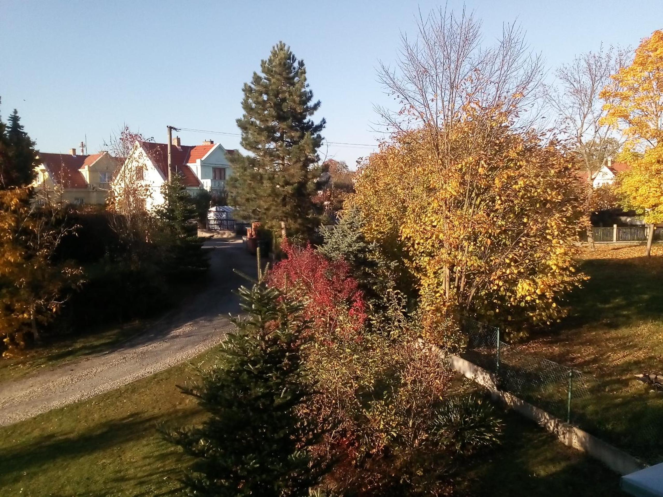 Villa Liduška s kavárnou