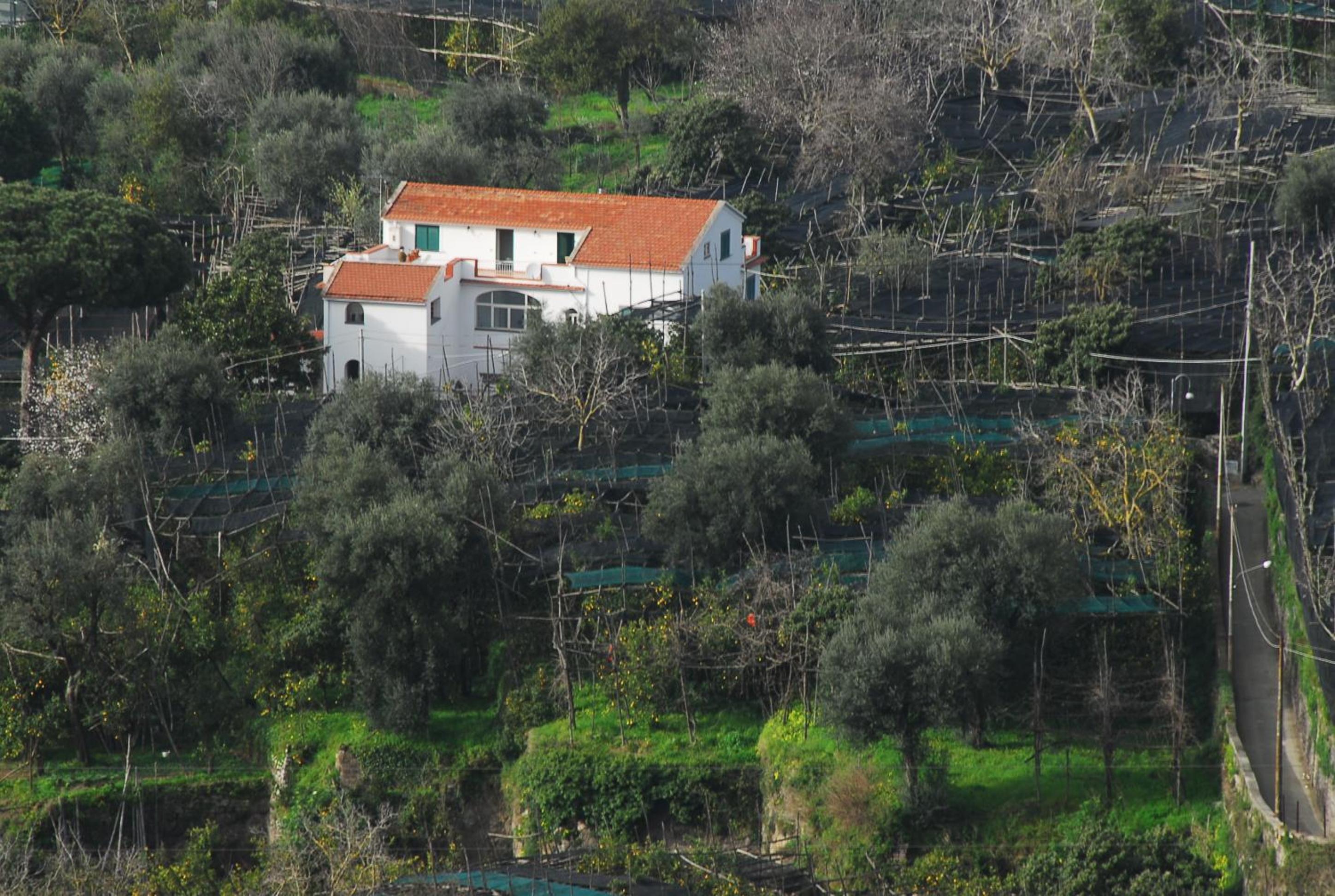 Azienda Agricola Veniero view 4
