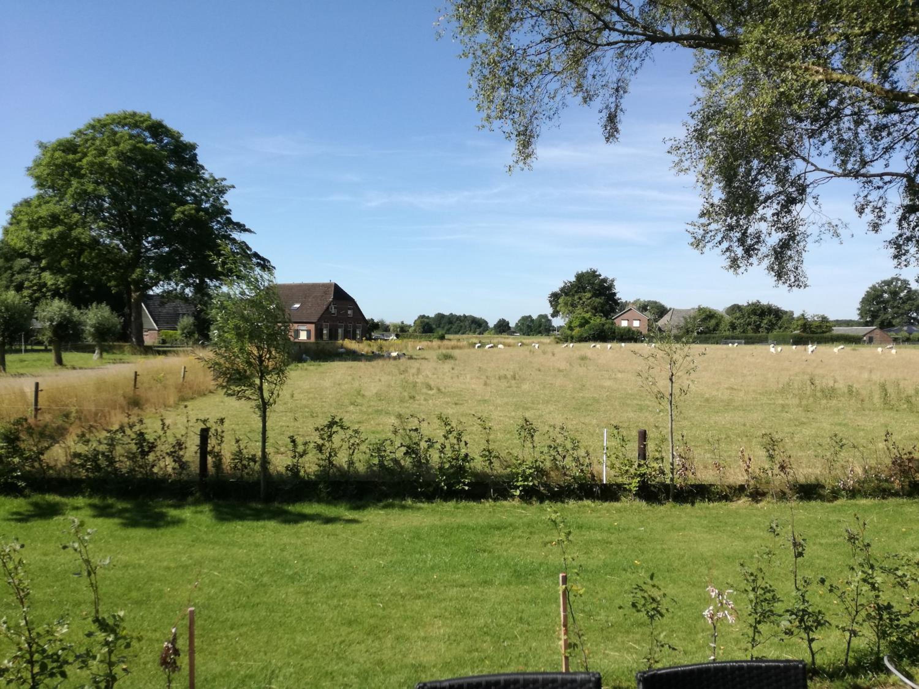 Photo 42