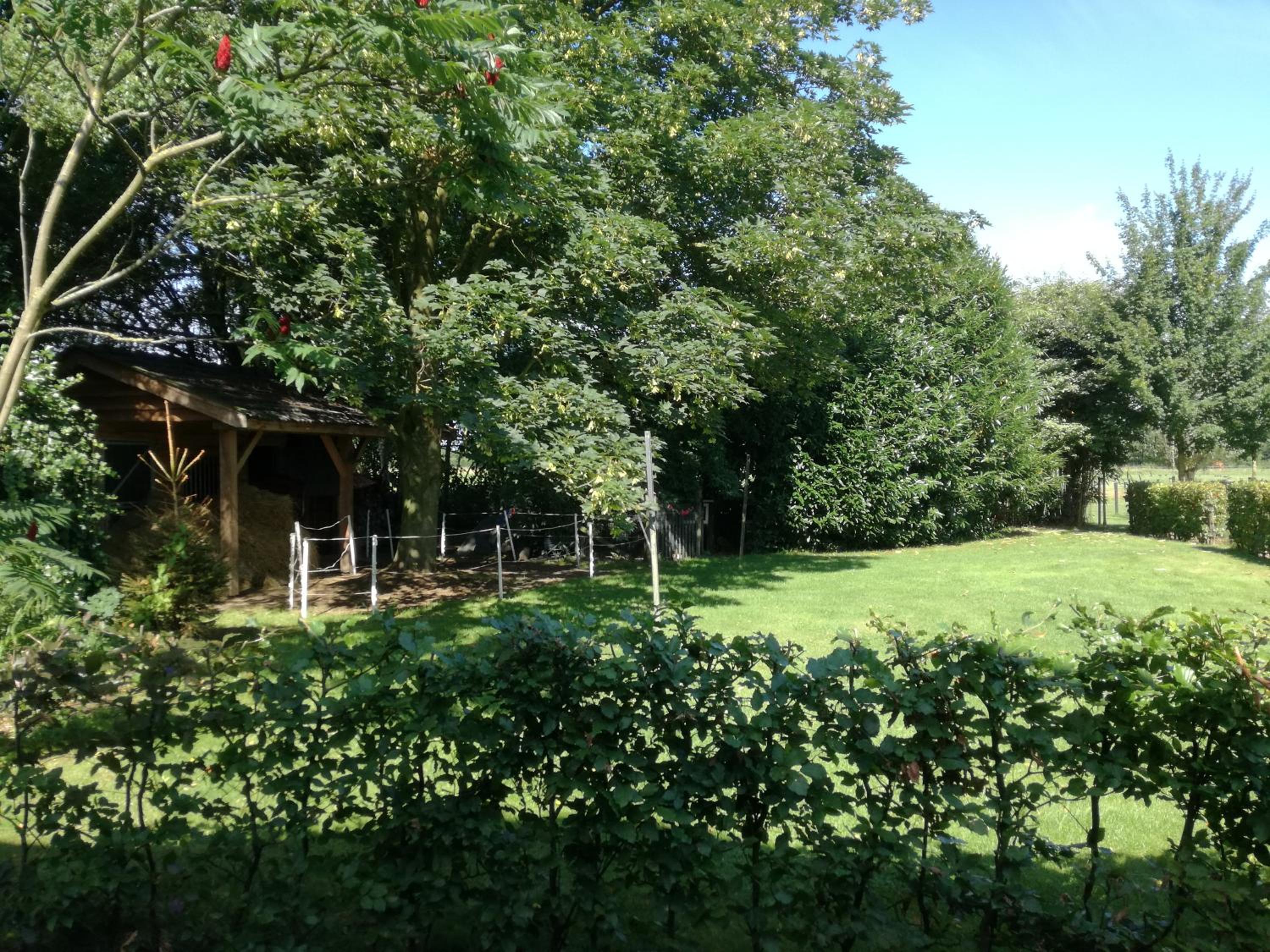 Photo 43