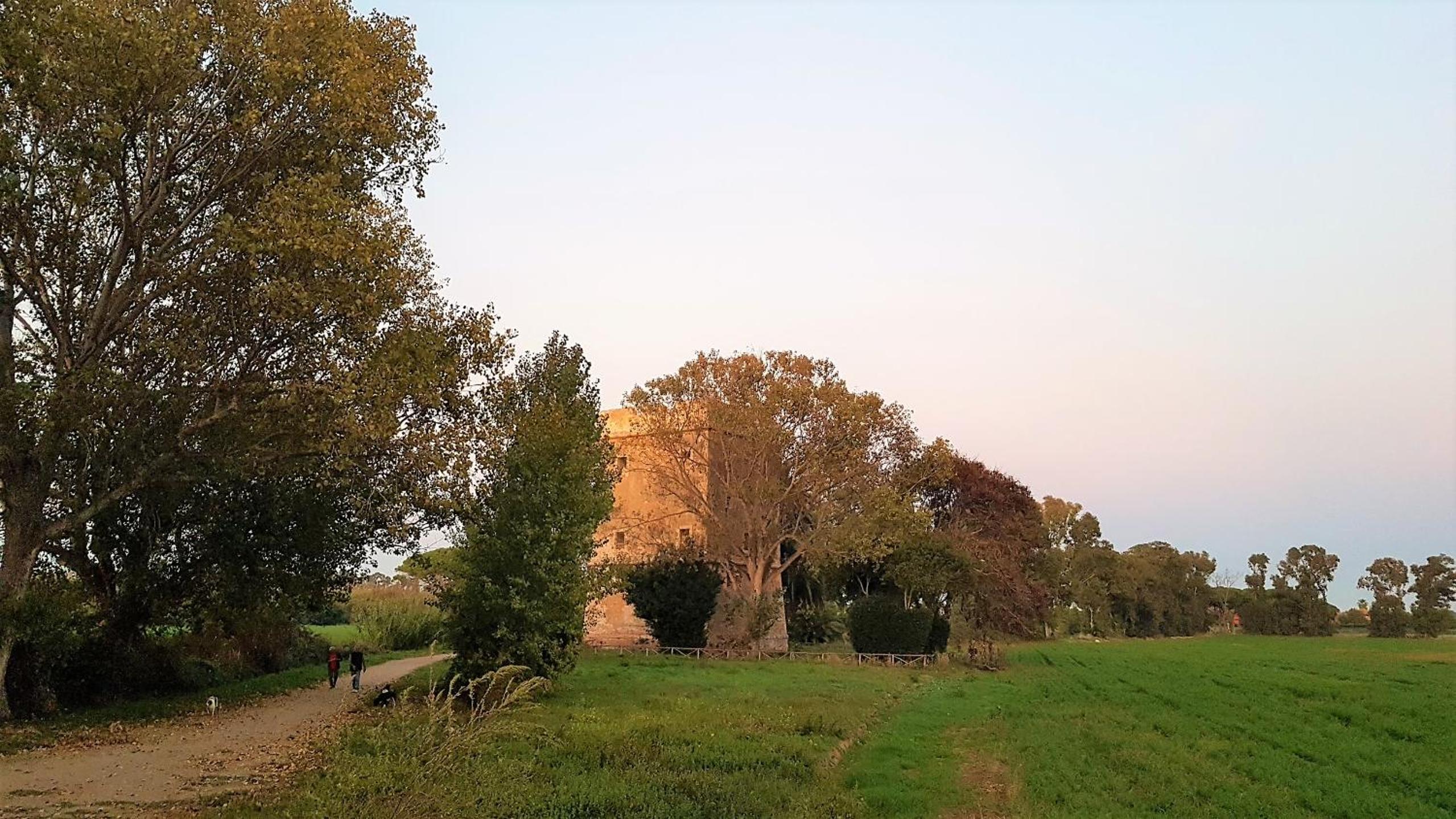 Photo 30