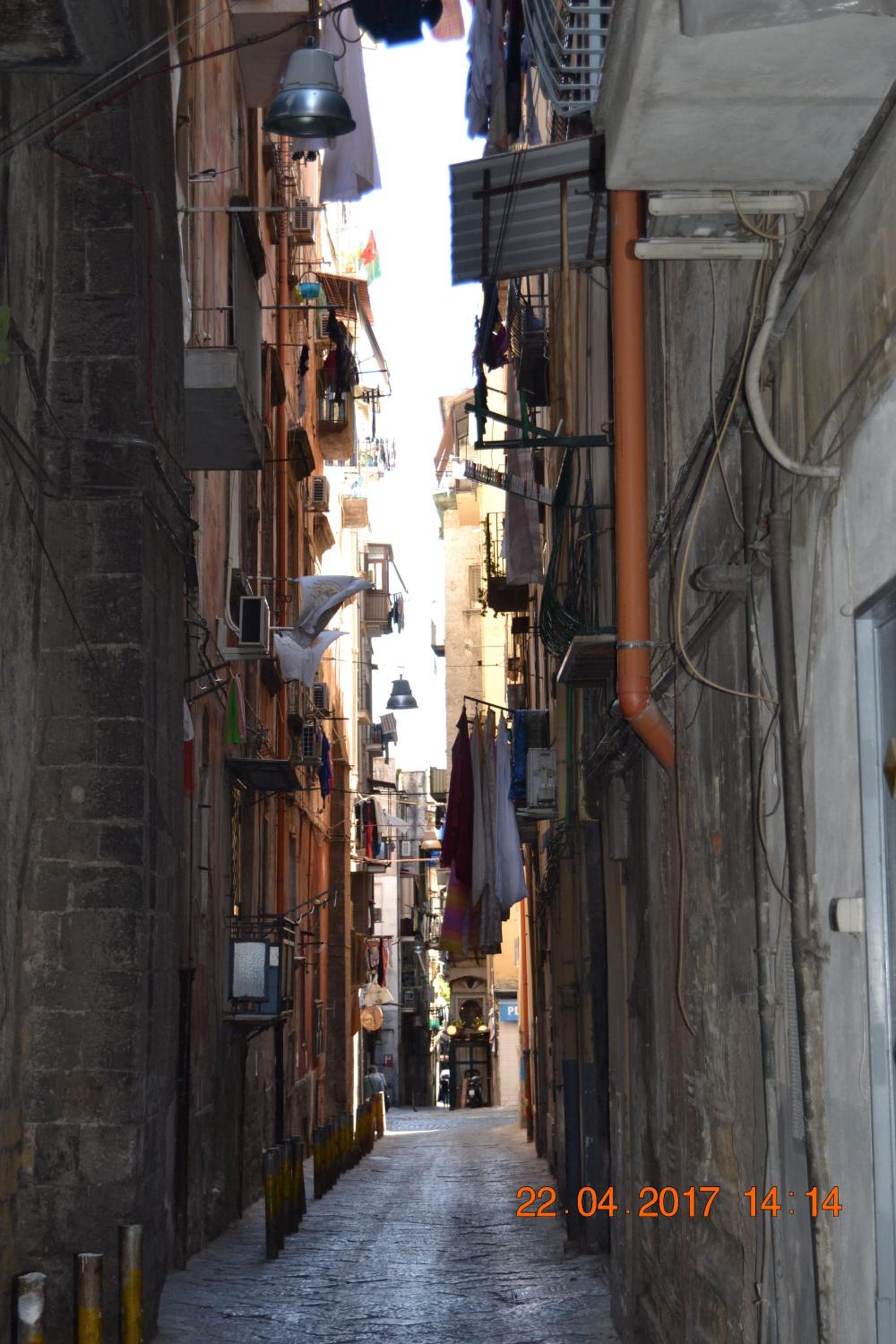 La Regina di Vertecoeli