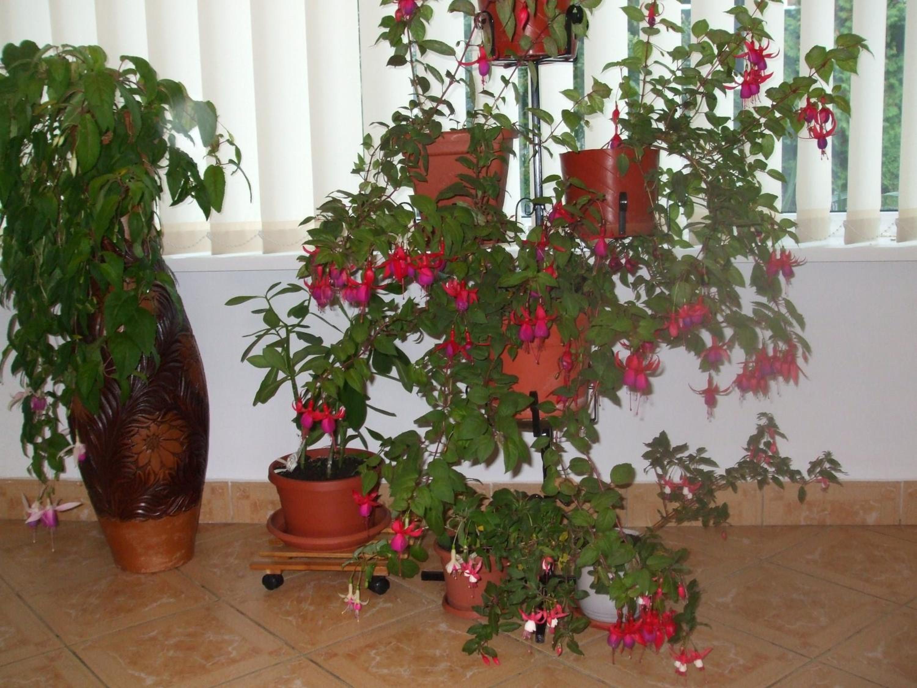 Photo 19