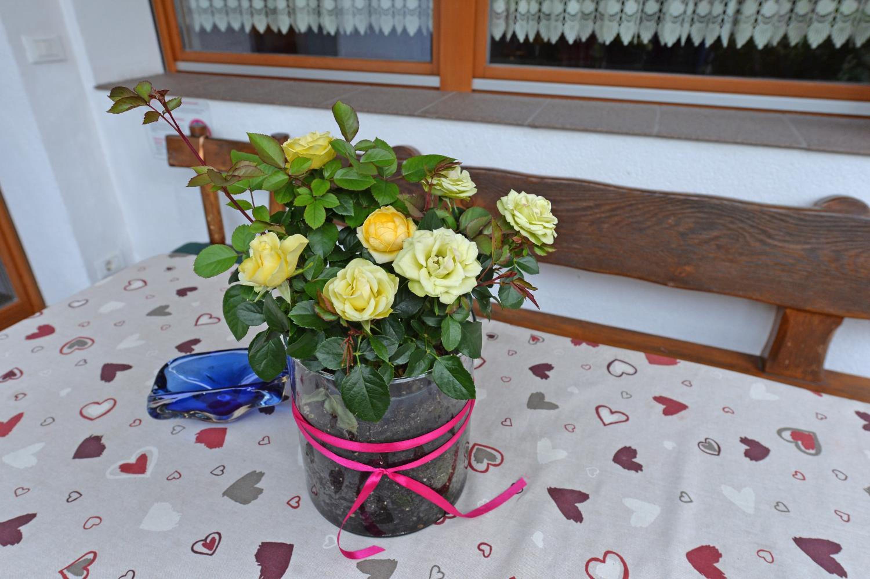 Photo 36