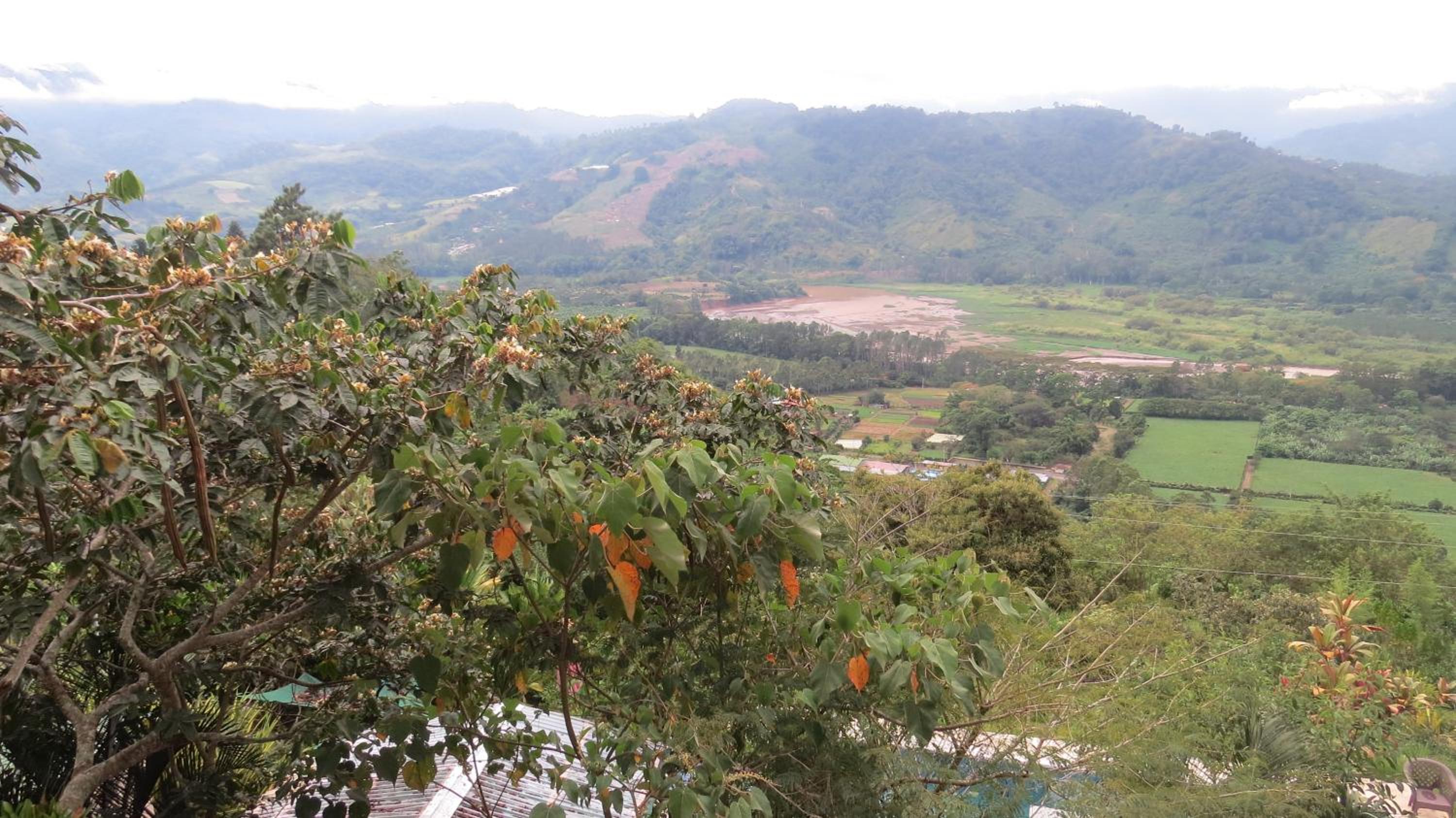 Rinconcito Verde