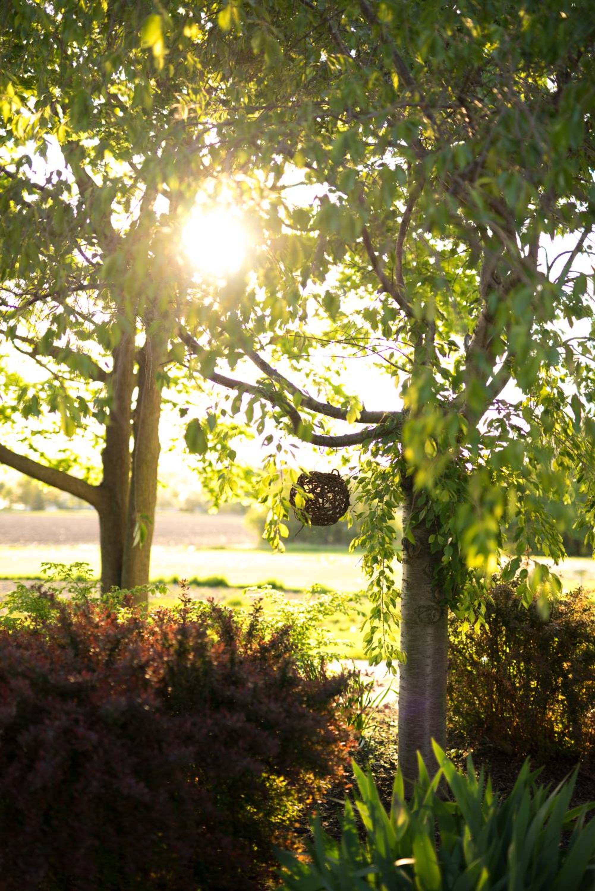 Yale Manor B&B & Yurt Glamping