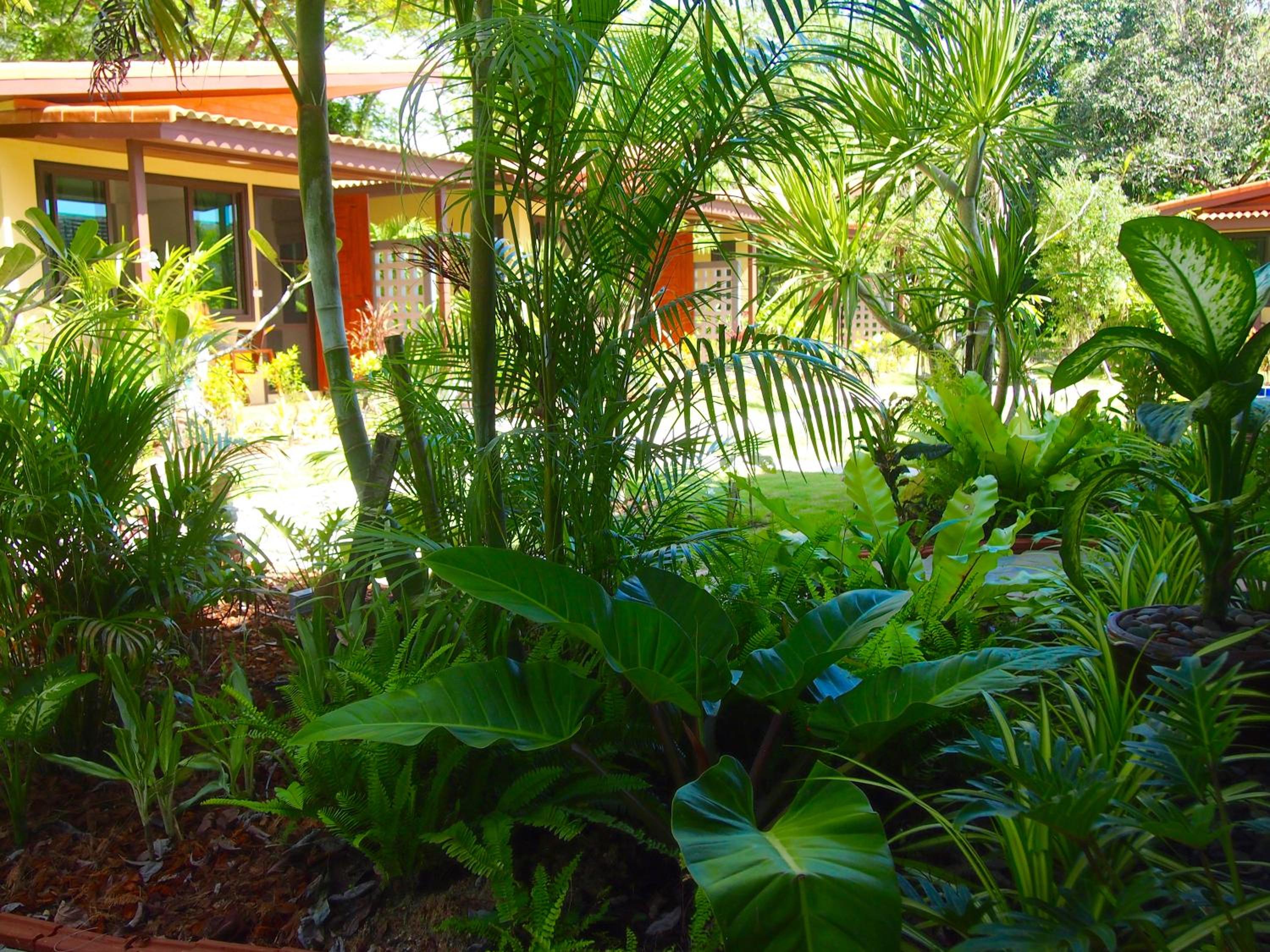 AT Bangsak Resort