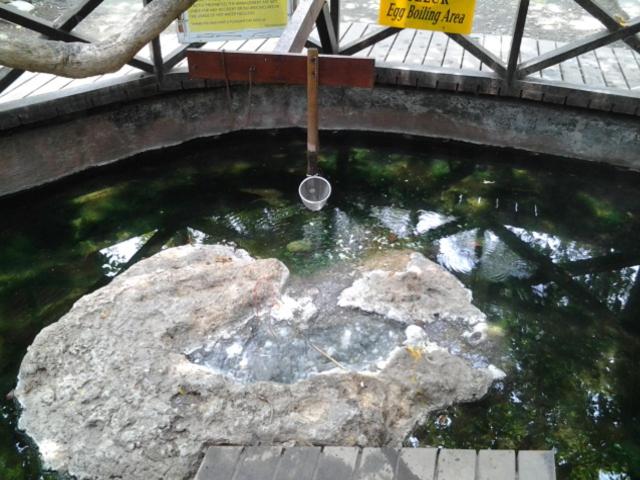 Photo 44