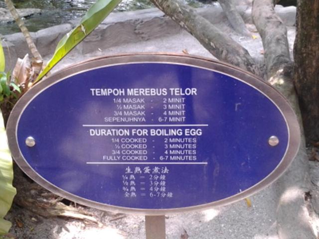 Photo 36
