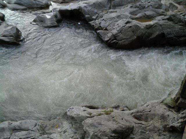 Photo 51