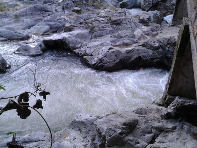 Photo 48