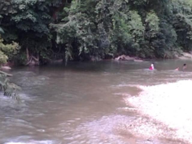 Photo 47