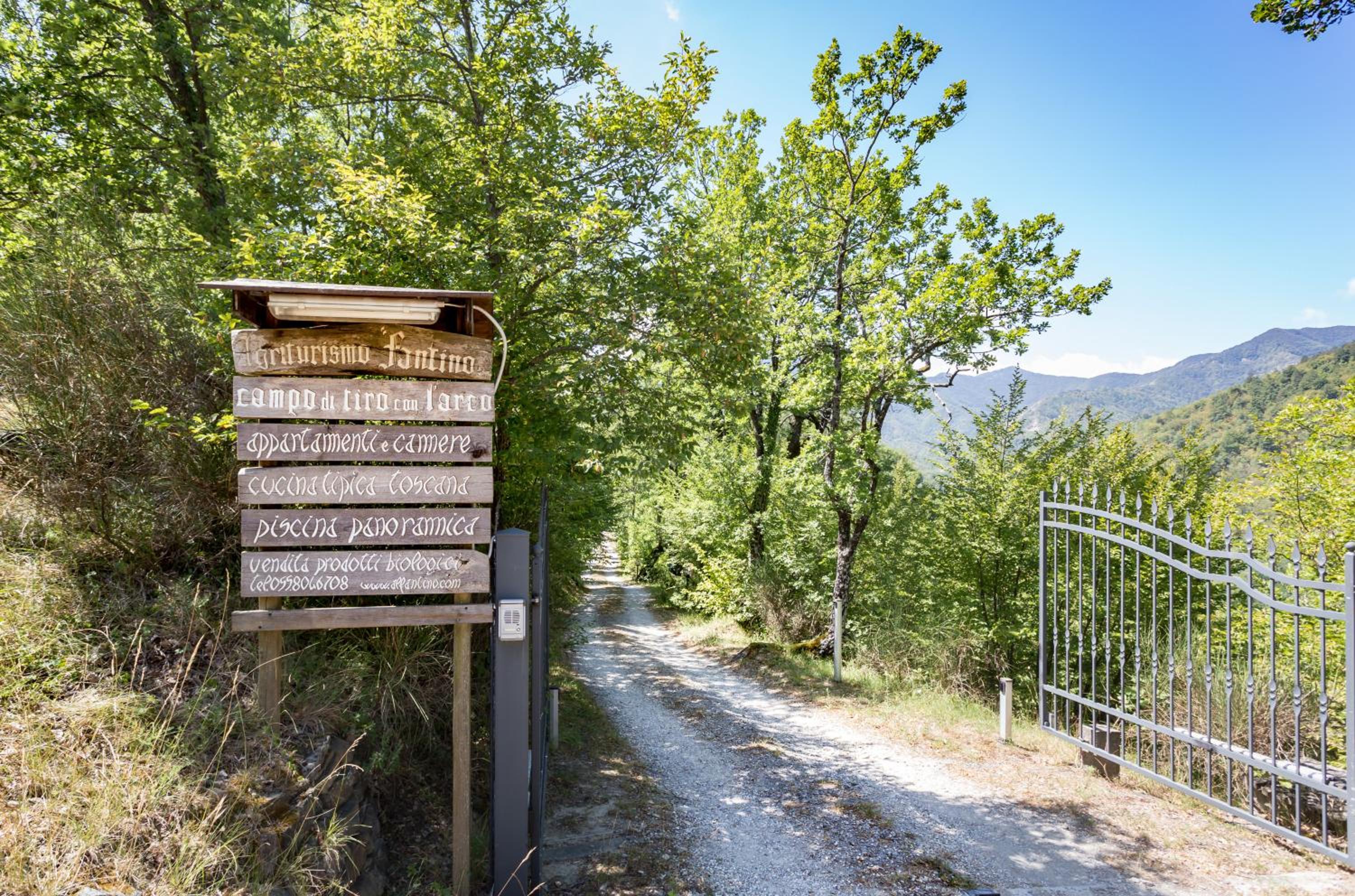 Piedimonte
