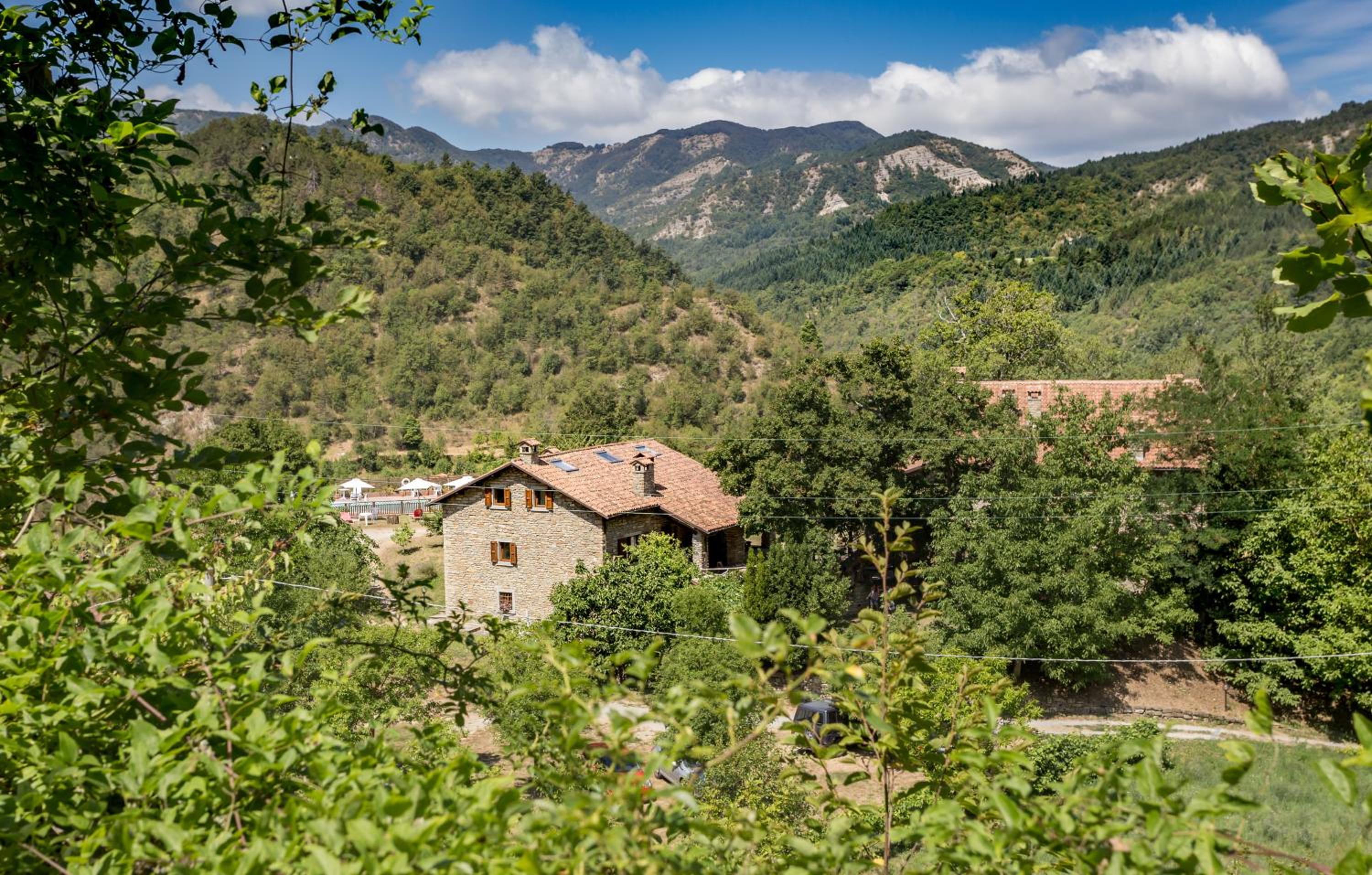 Piedimonte
