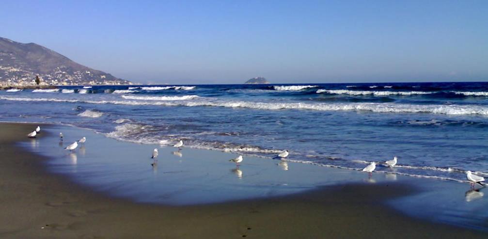 Photo 45