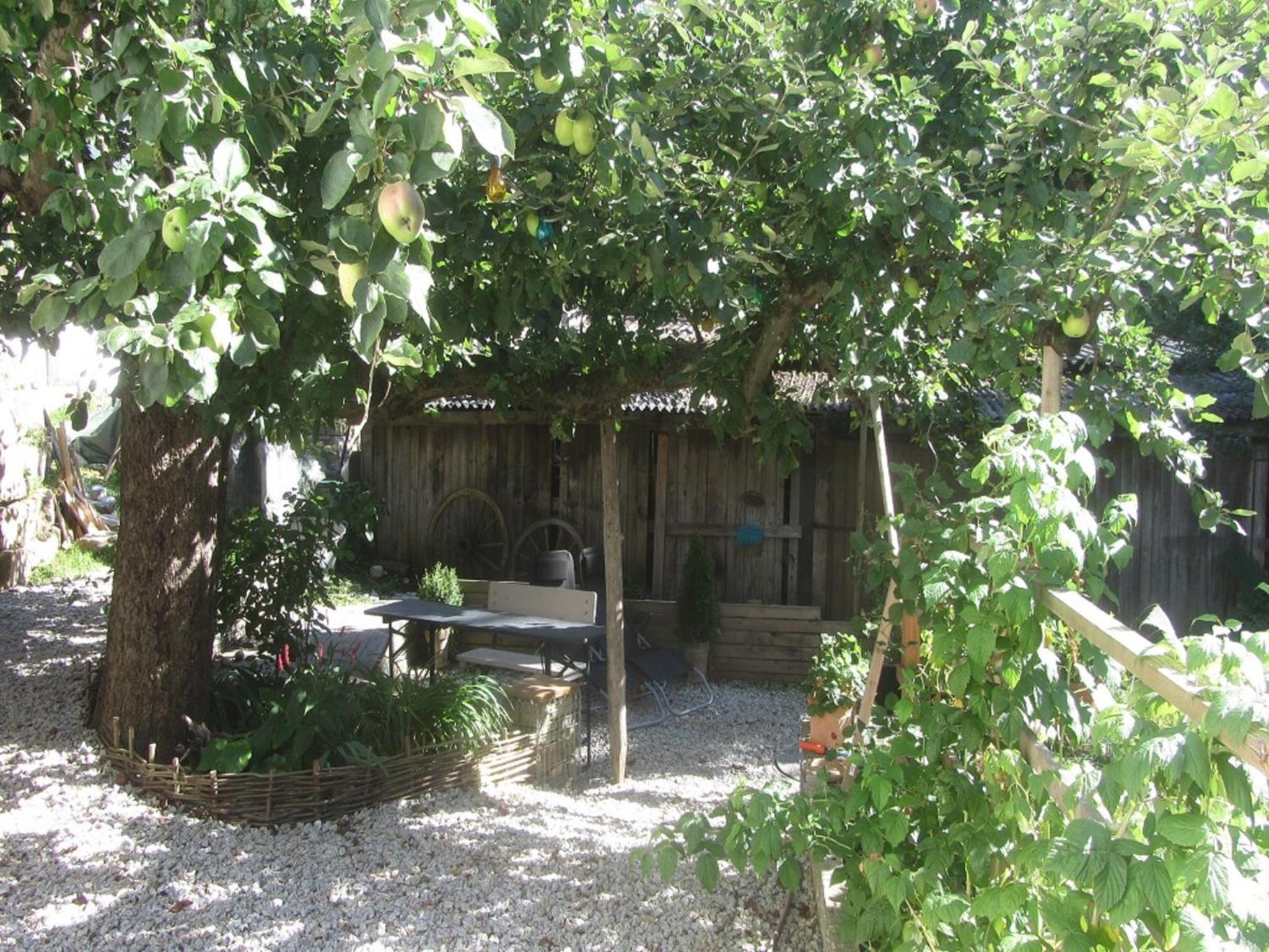 Ferienwohnung Apfelbaum, photo 10
