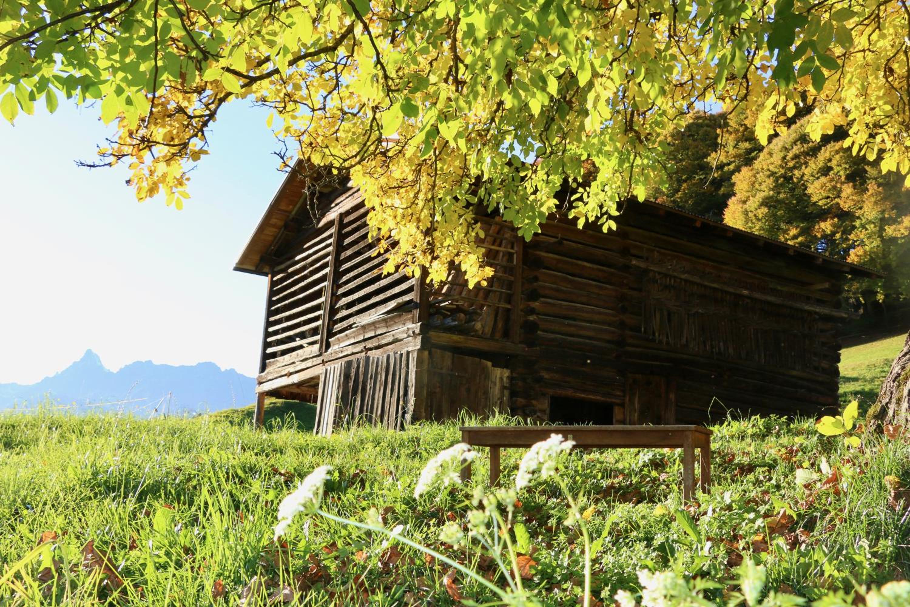 Ferienwohnung Därflihof