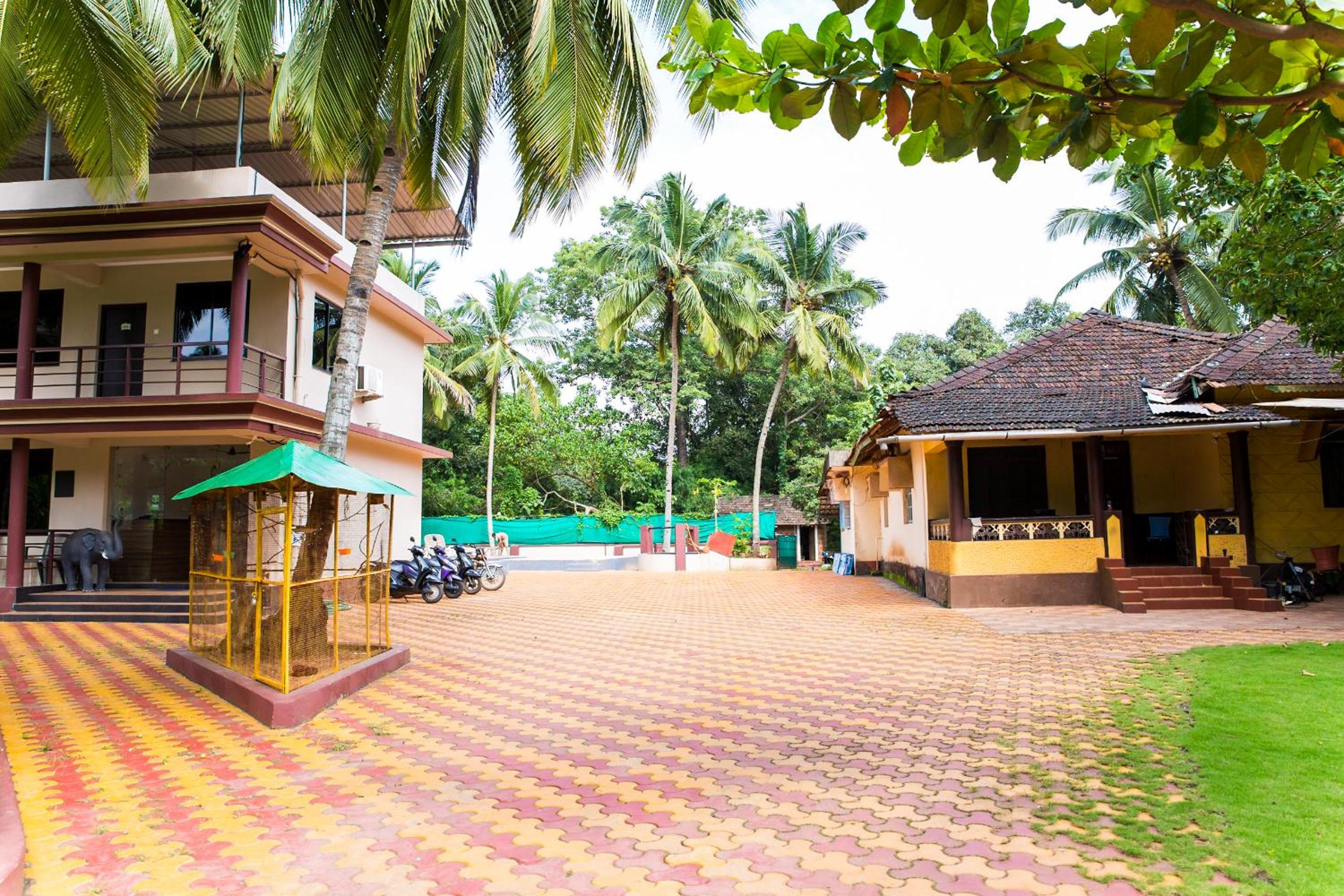 Lazy Frog Guest House view 2