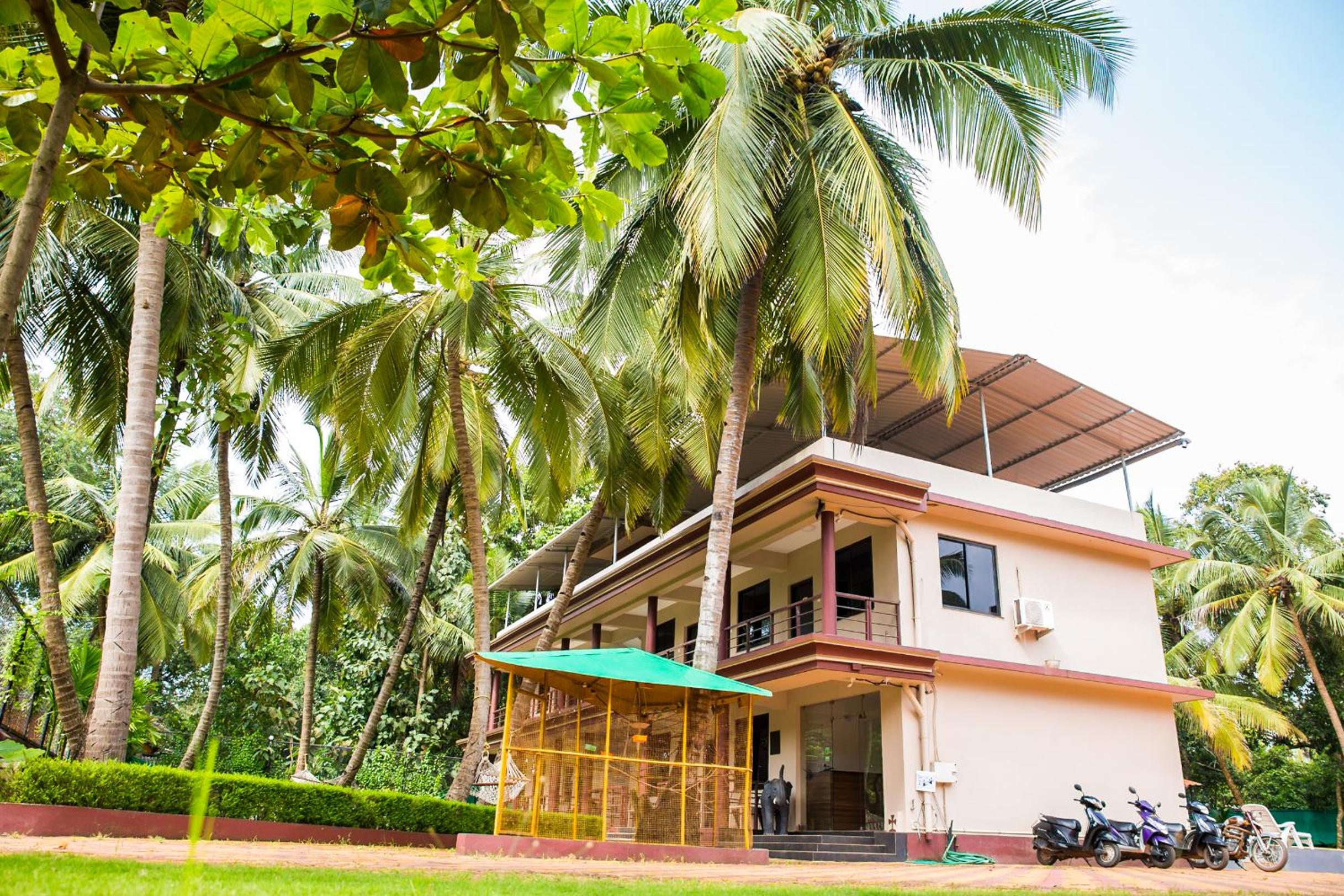 Lazy Frog Guest House view 3