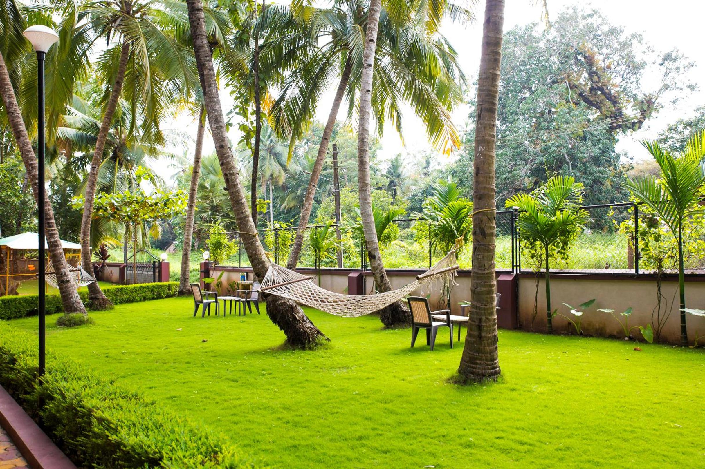 Lazy Frog Guest House view 4
