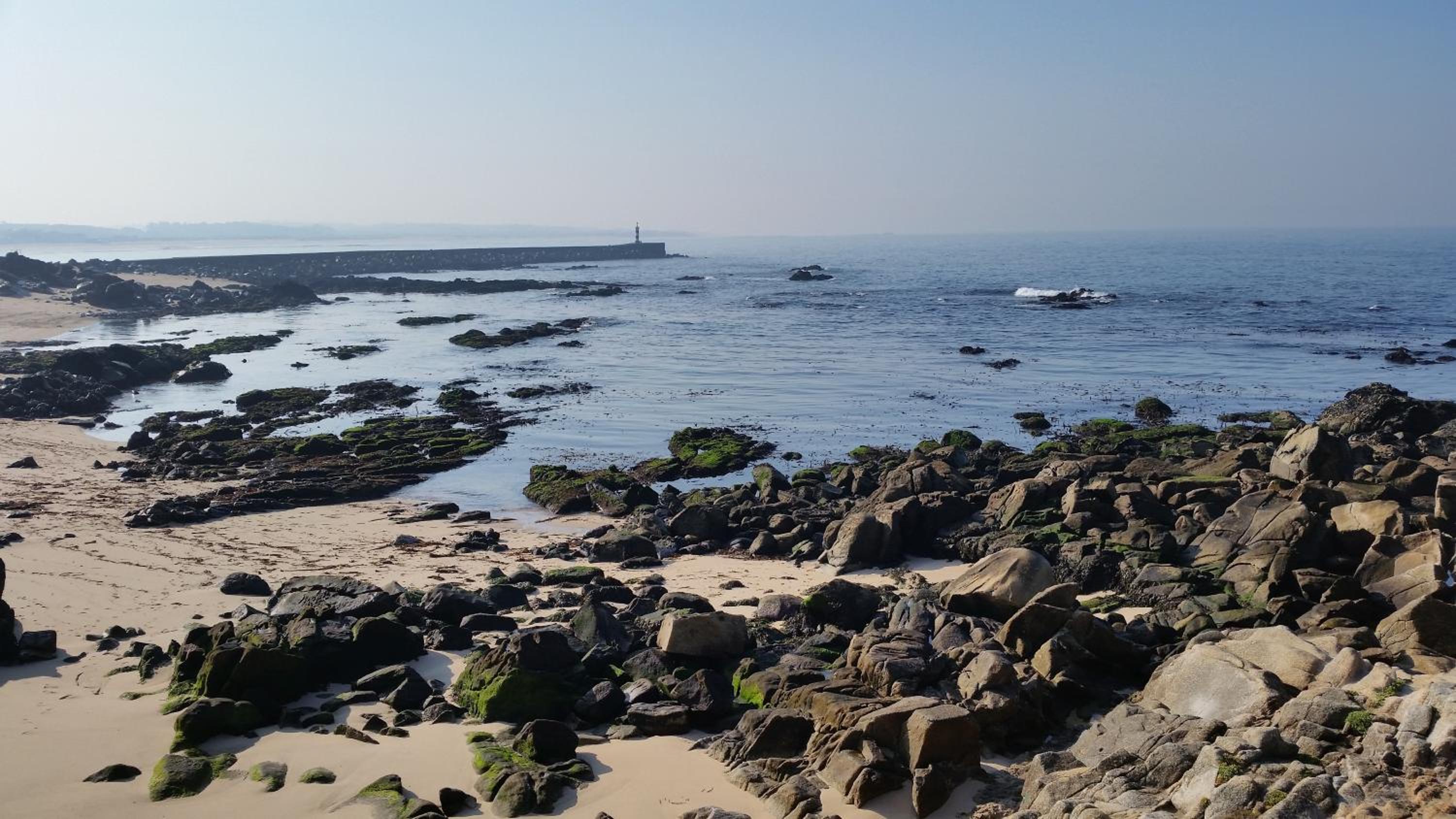 other