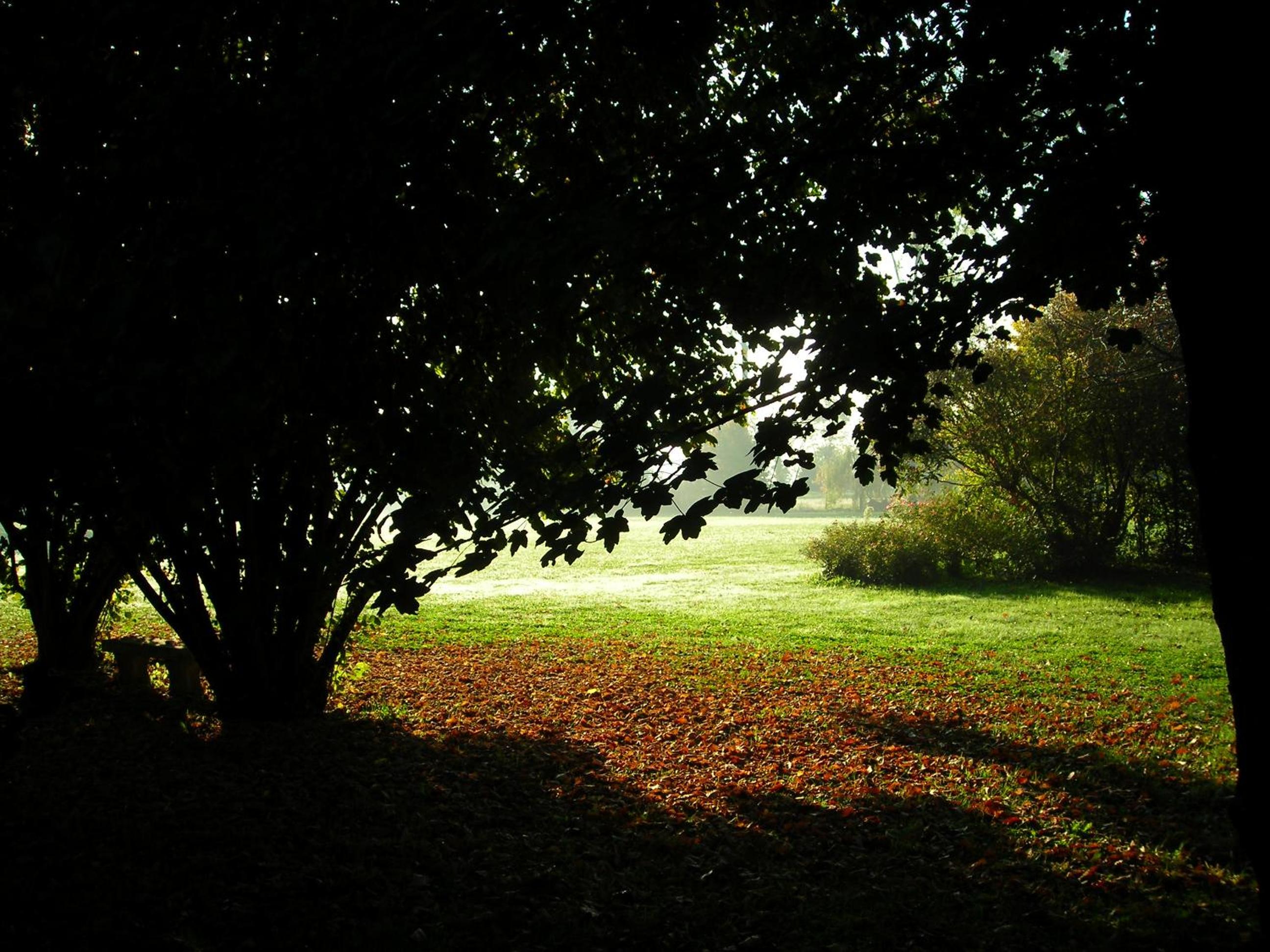 Photo 31