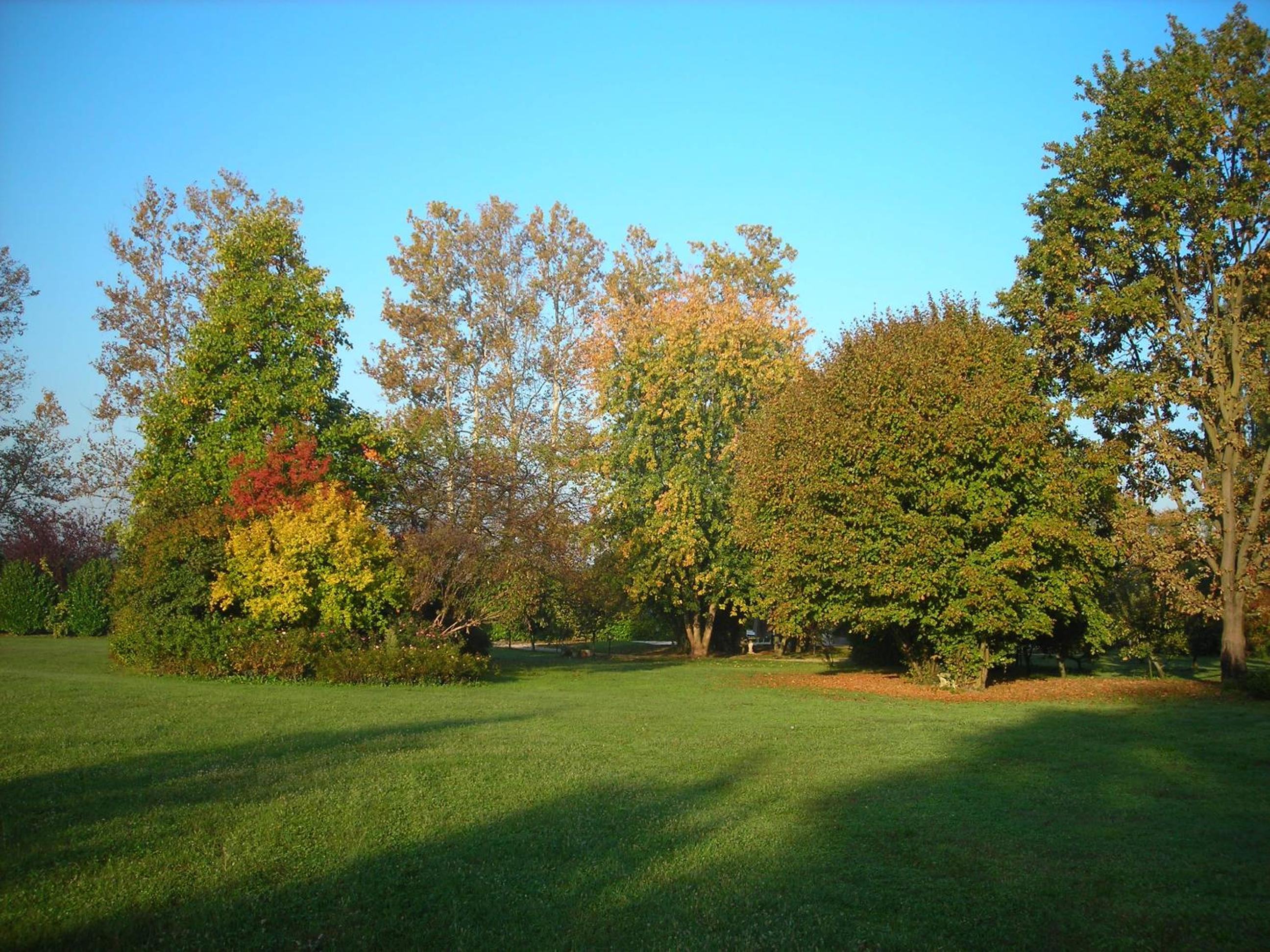 Photo 28