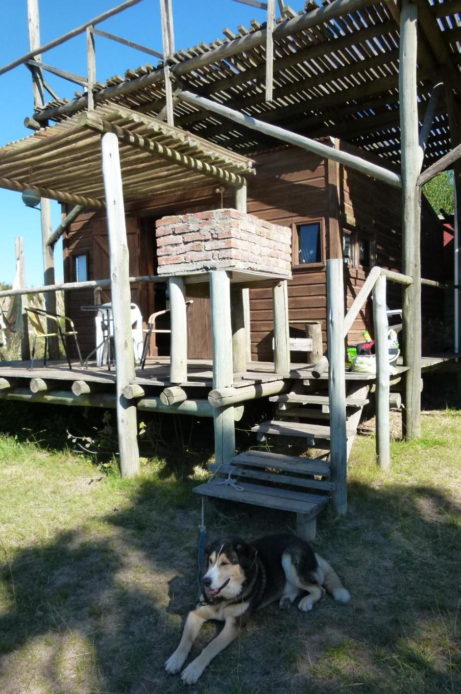 Photo 42
