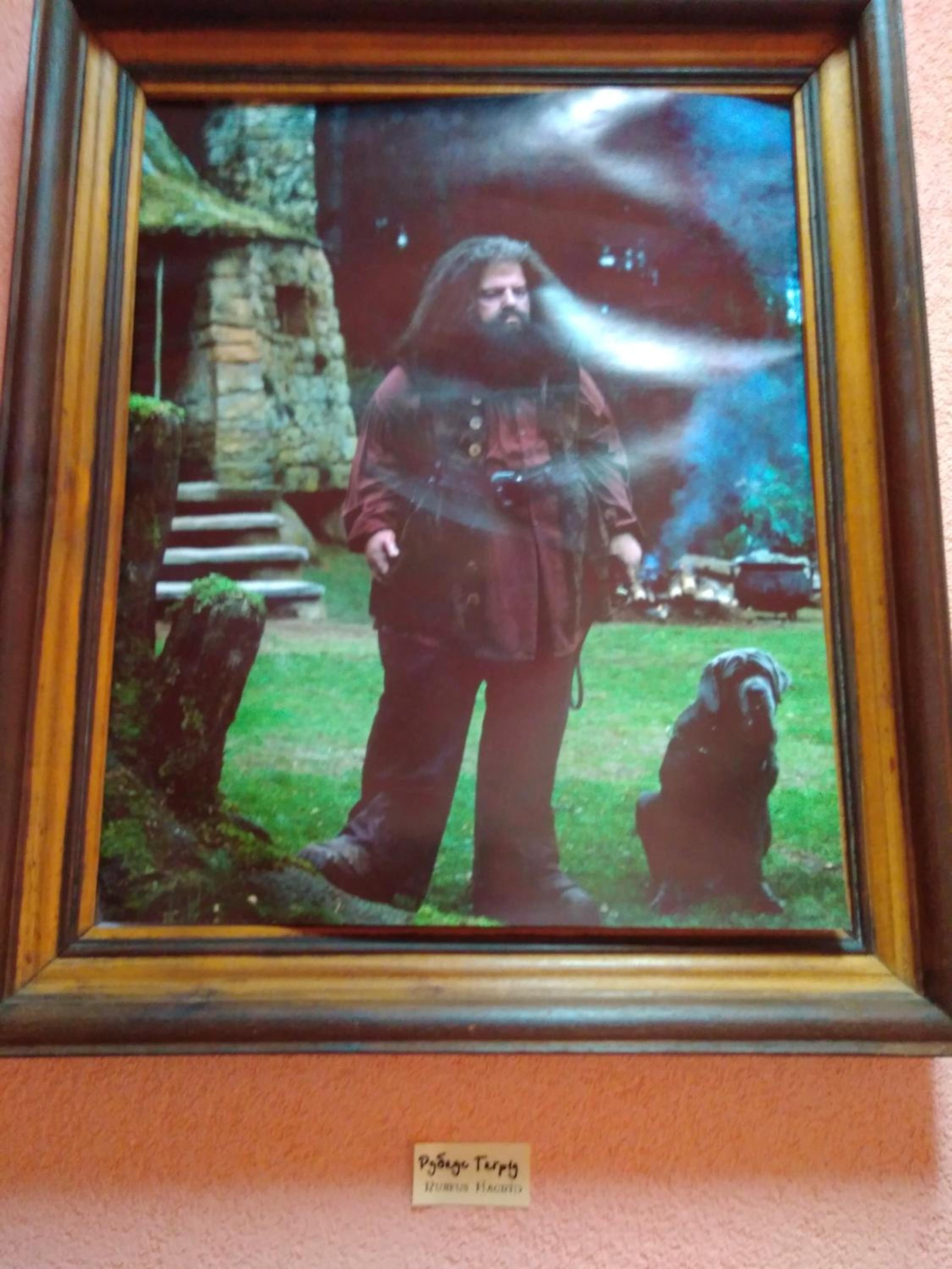 Photo 22