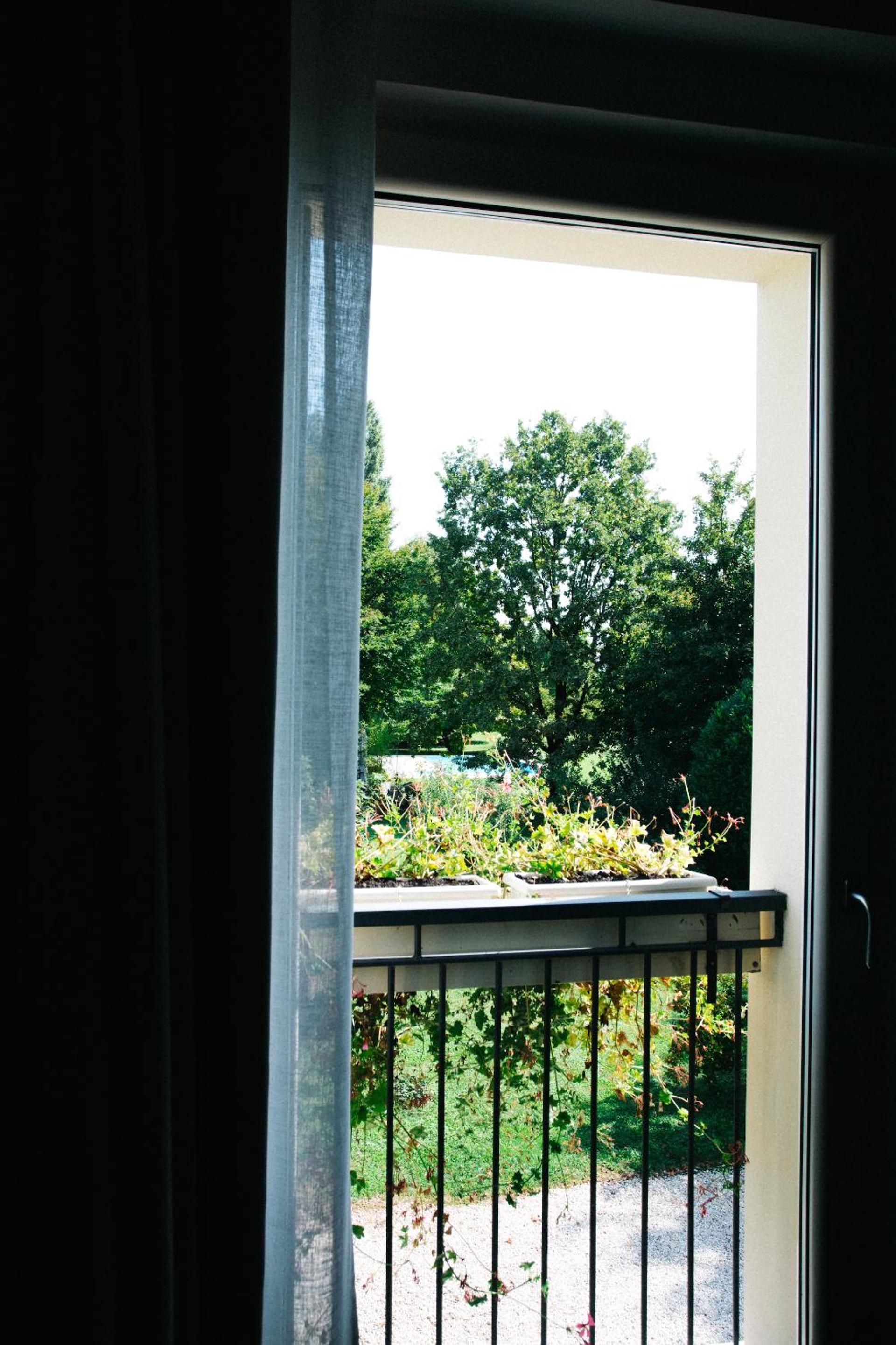 Photo 45