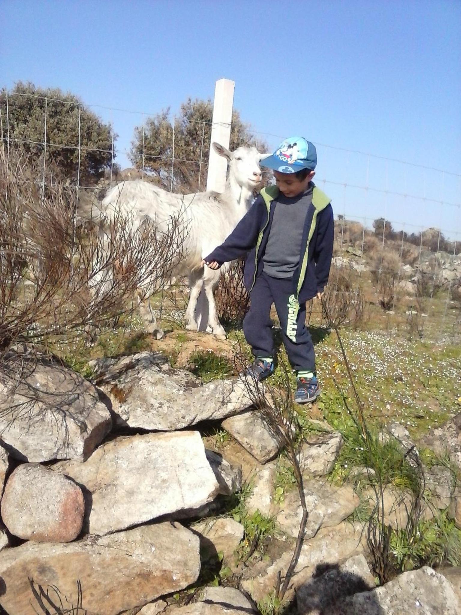 Photo 28