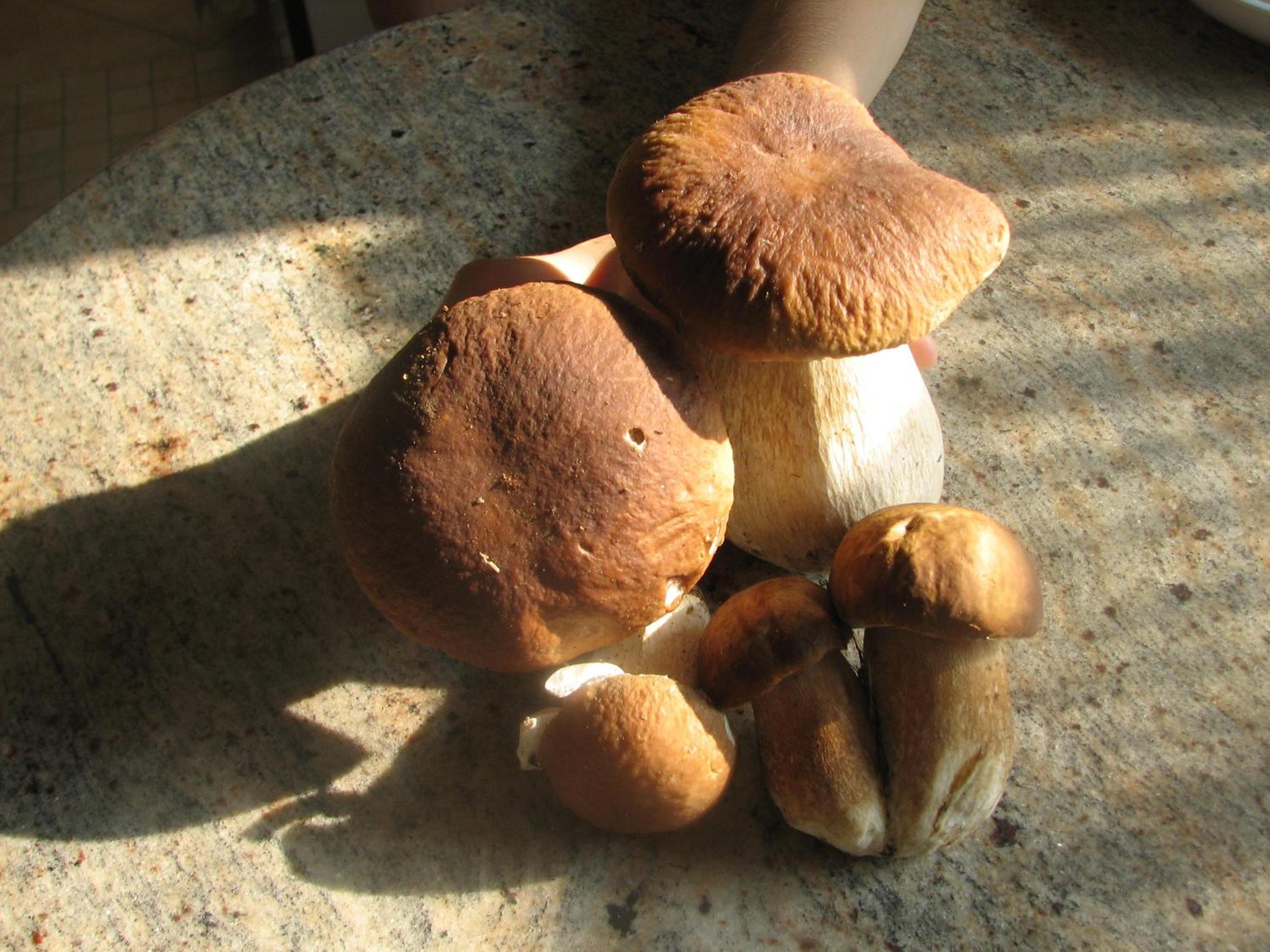 Photo 20