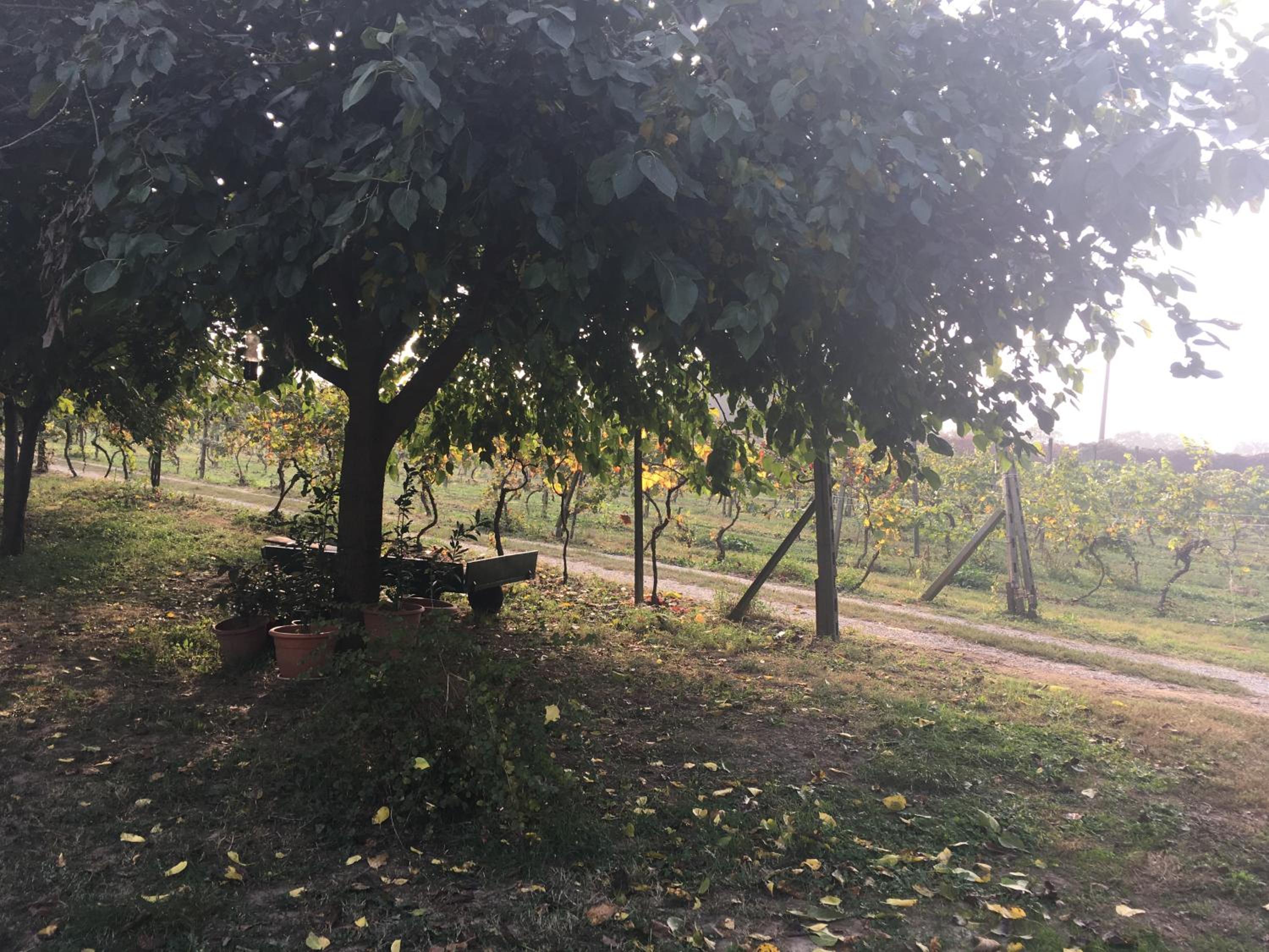 Le Magnolie Agriturismo