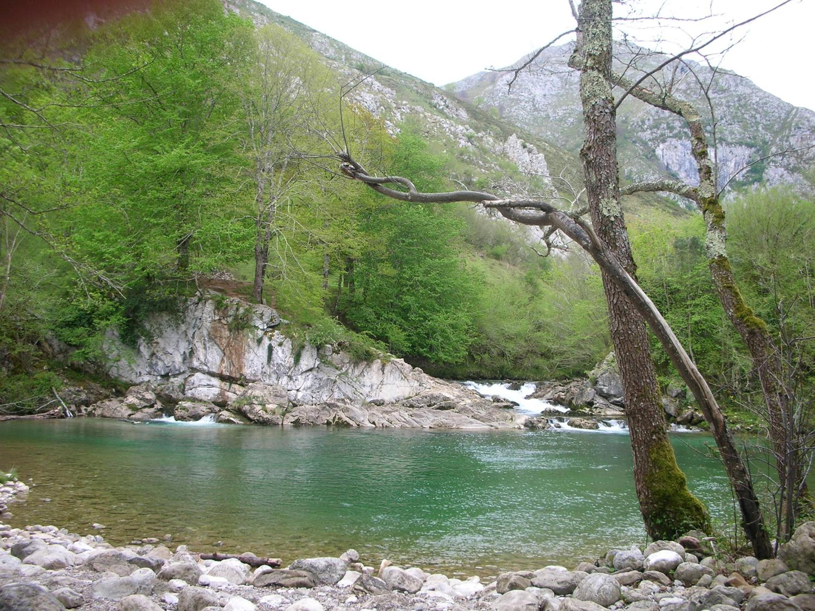 Ribera del Sella