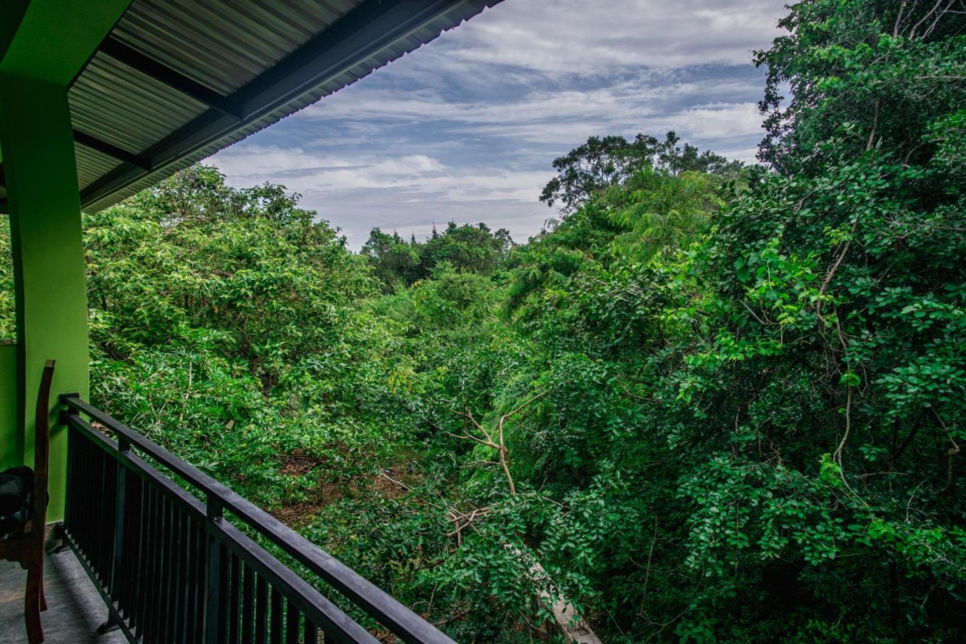 Wildescape Polonnaruwa
