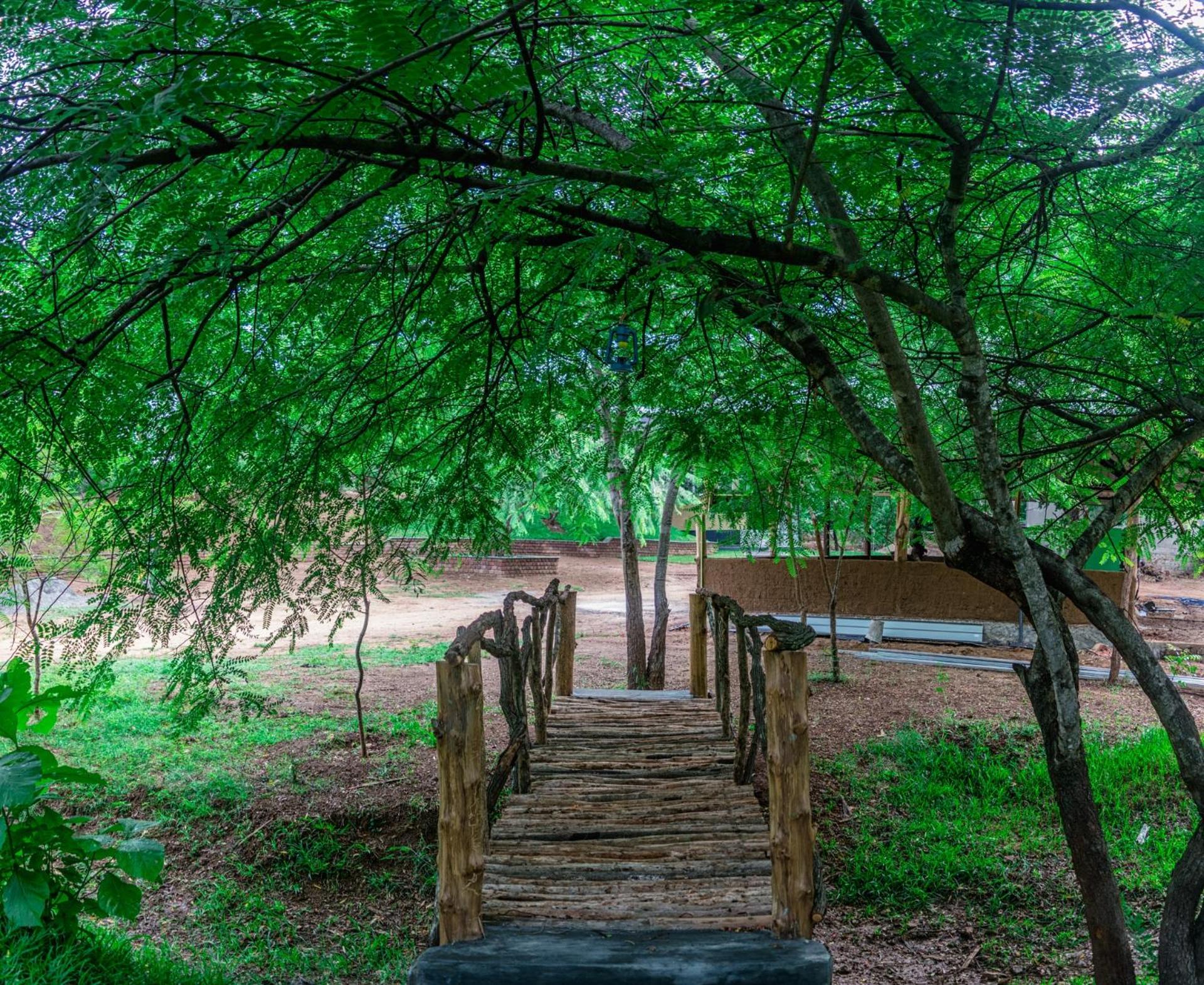 Wildescape Polonnaruwa