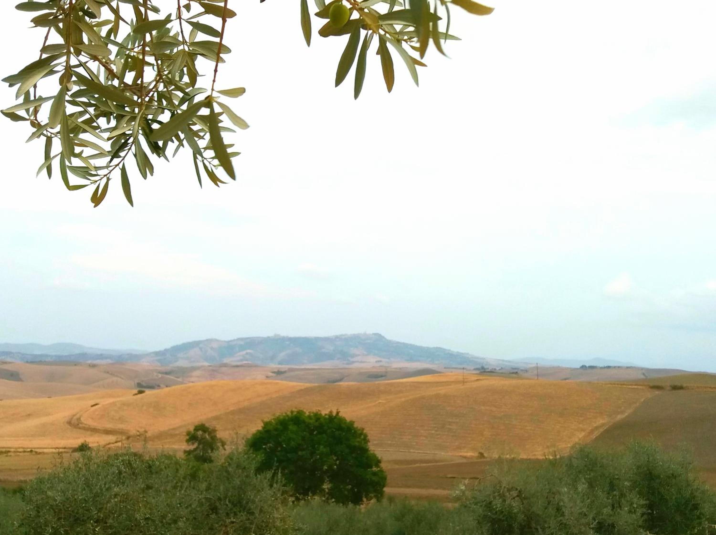 Agriturismo Signorini