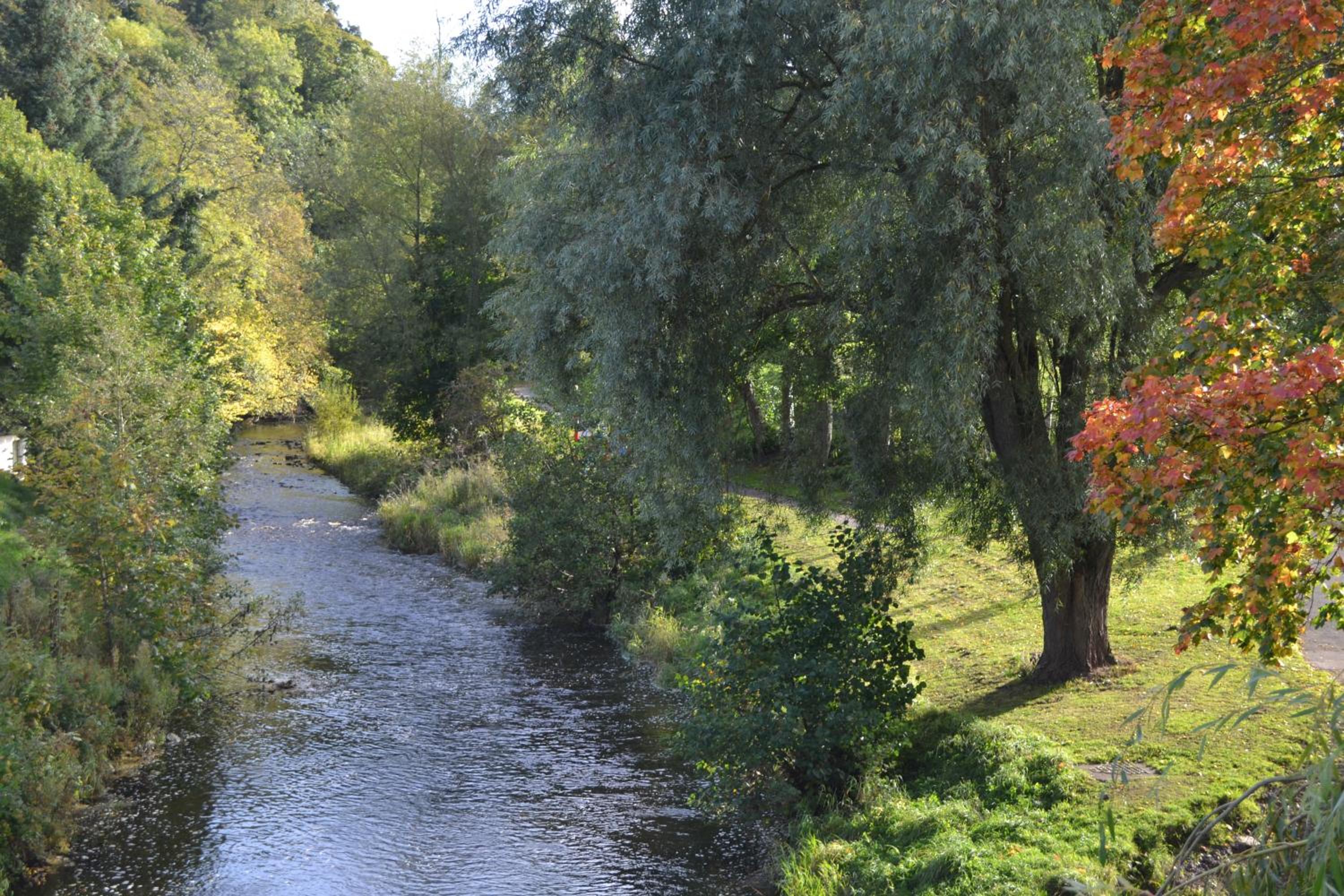 Photo 10