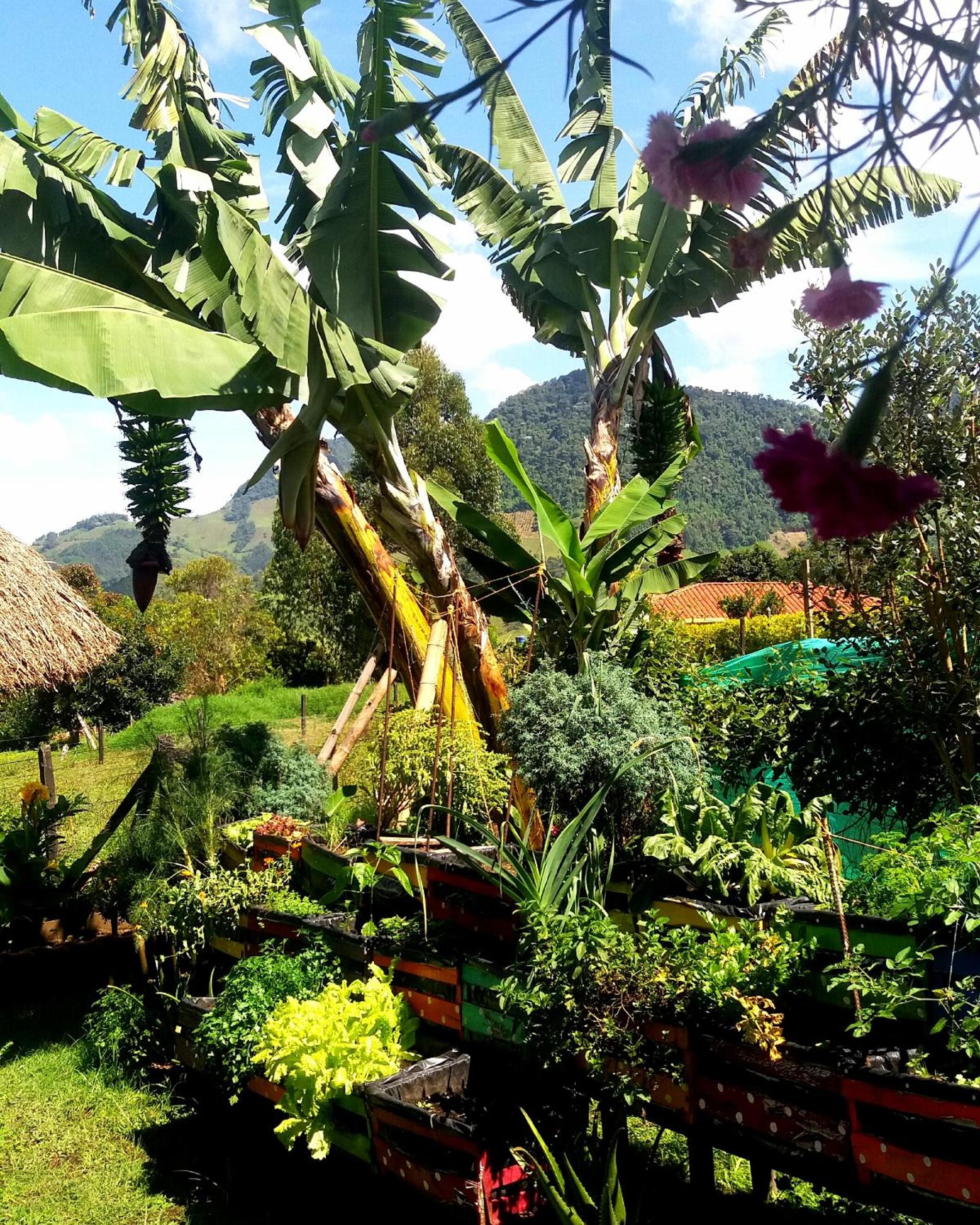 Coliving LA BOIRA
